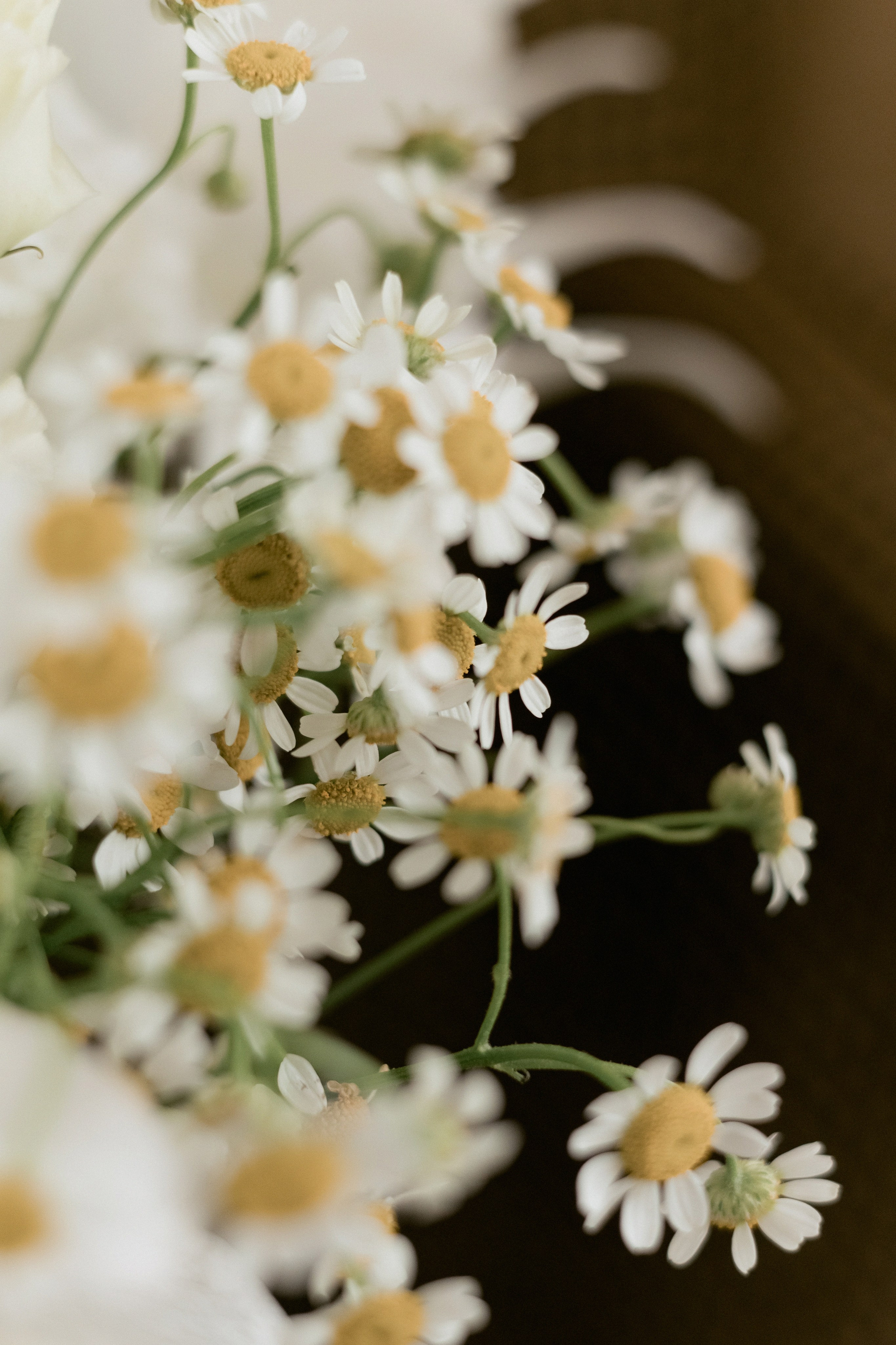 Свадебный банкет в отеле Хилтон Москва Ленинградская. Свадебный фотограф Москва