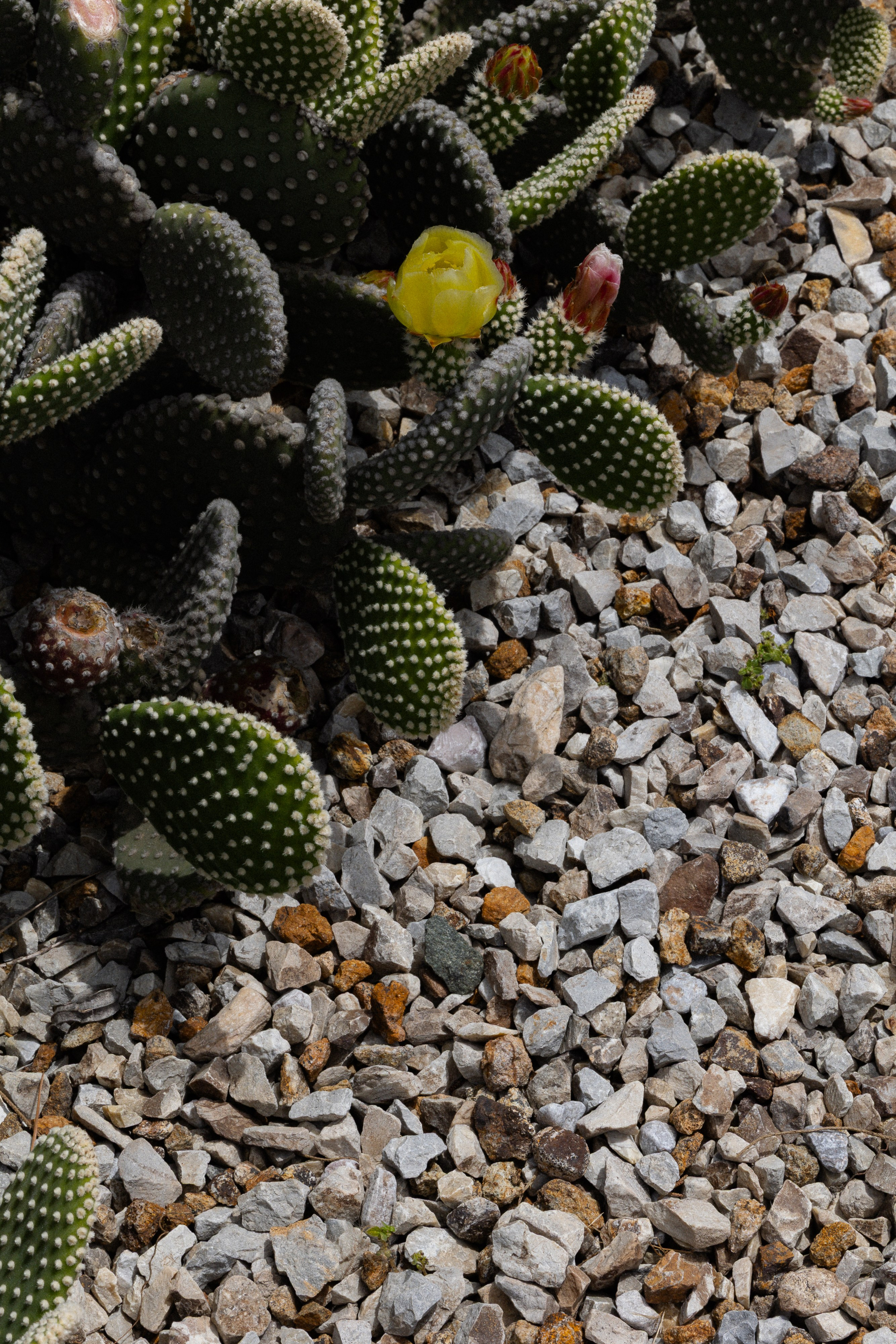 Wedding in Turkey. Wedding photographer Victoria Karpova