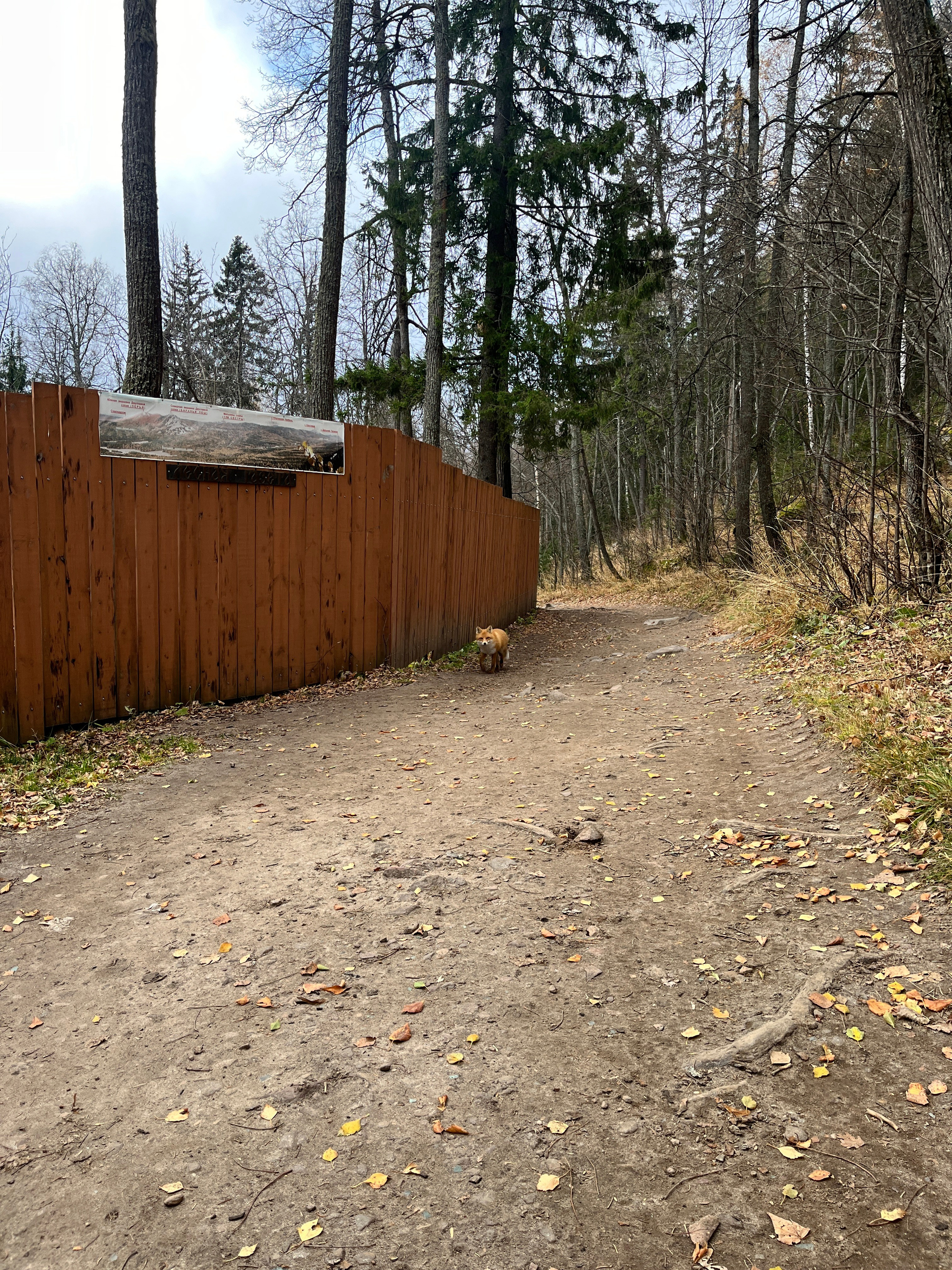 Тур на Таганай из Уфы — Время Приключений