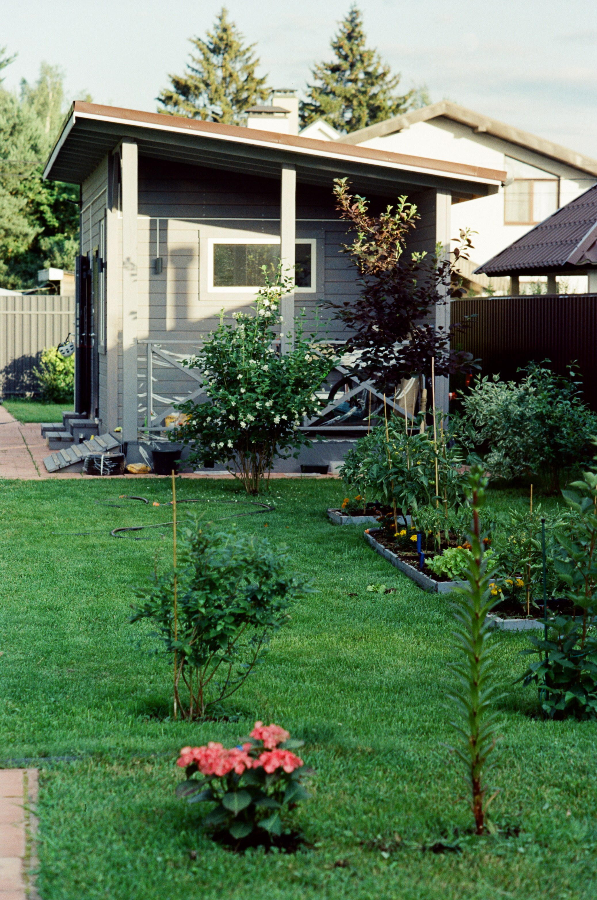 Canon 33V — Minolta MC Rokkor-PF 85 mm f1.7 | SFL 200T | июль 2025 г