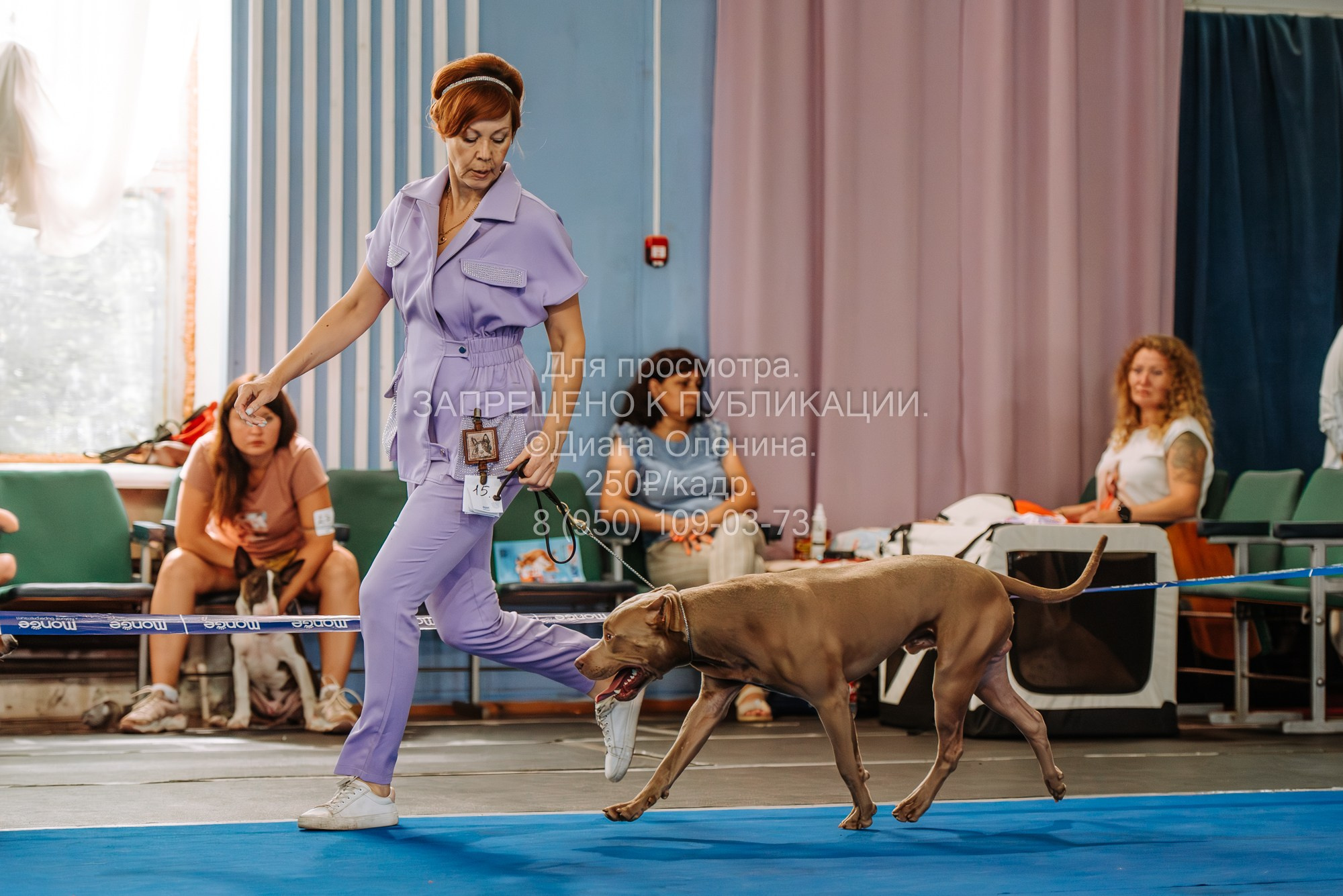 Национальная выставка собак всех пород ранга САС-IKU «Кубок Красноярск. Фотограф Диана Оленина Красноярск / Братск