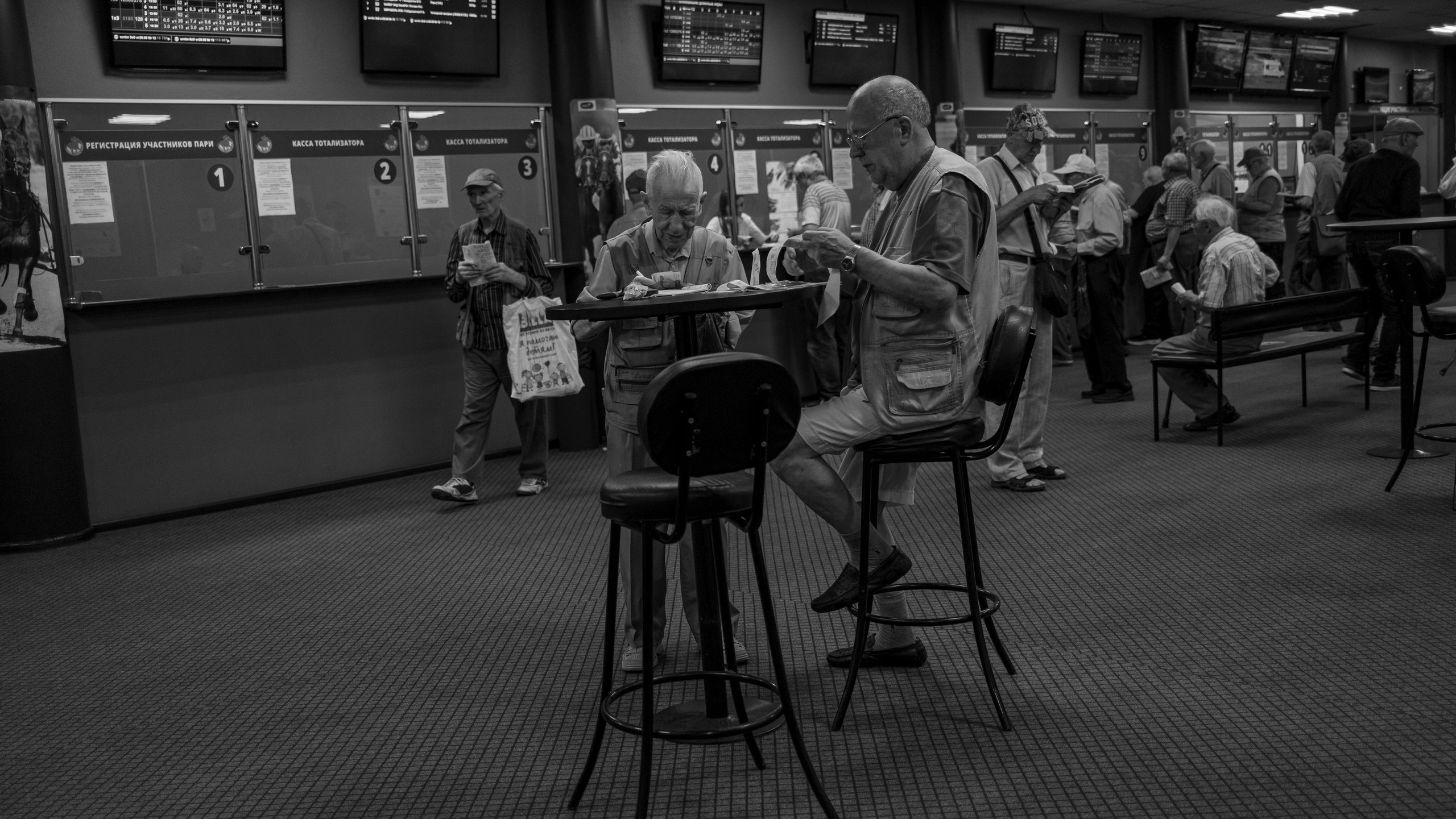 На ипподром. Frankstidda — photographer