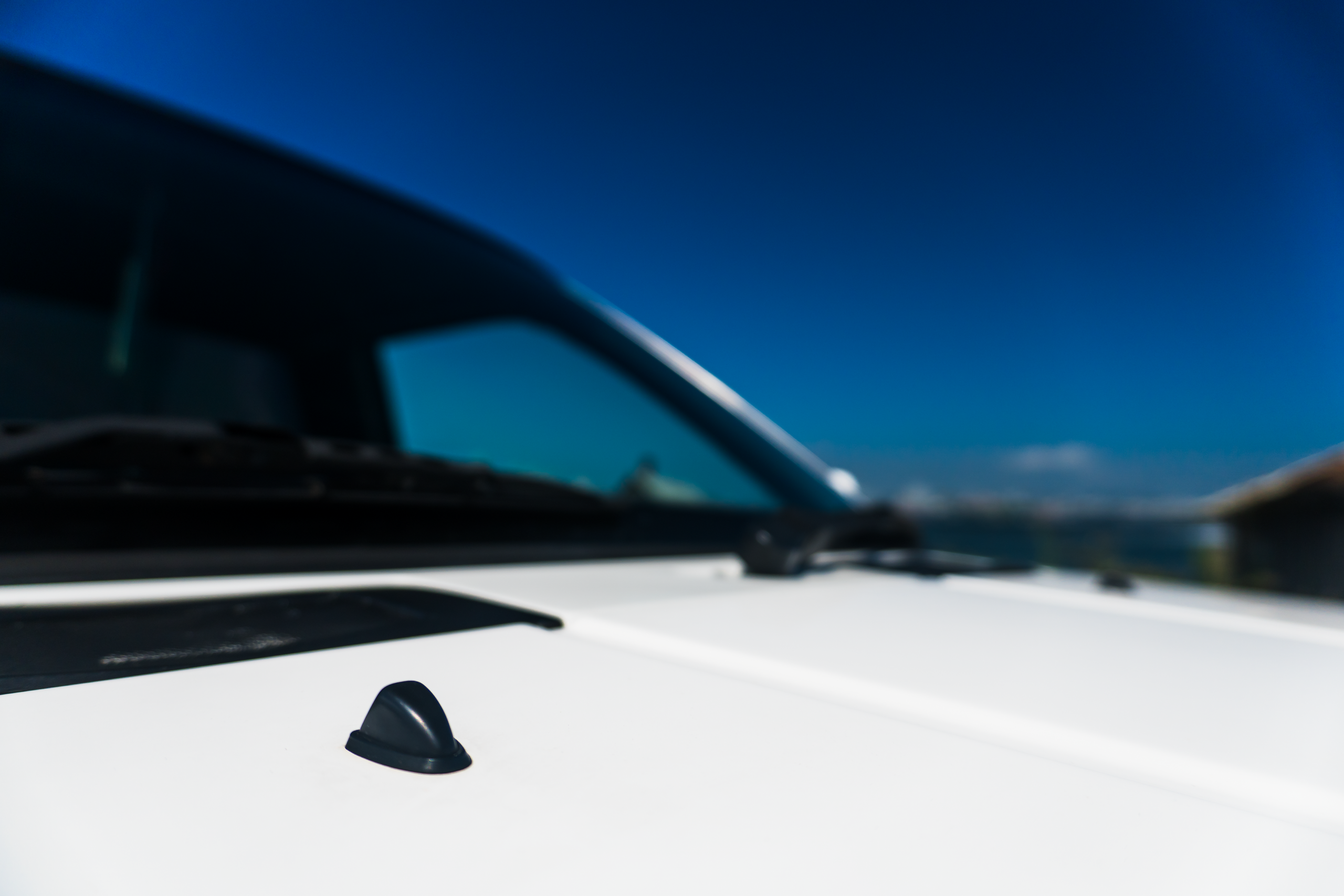 Nissan Datsun: наземная яхта