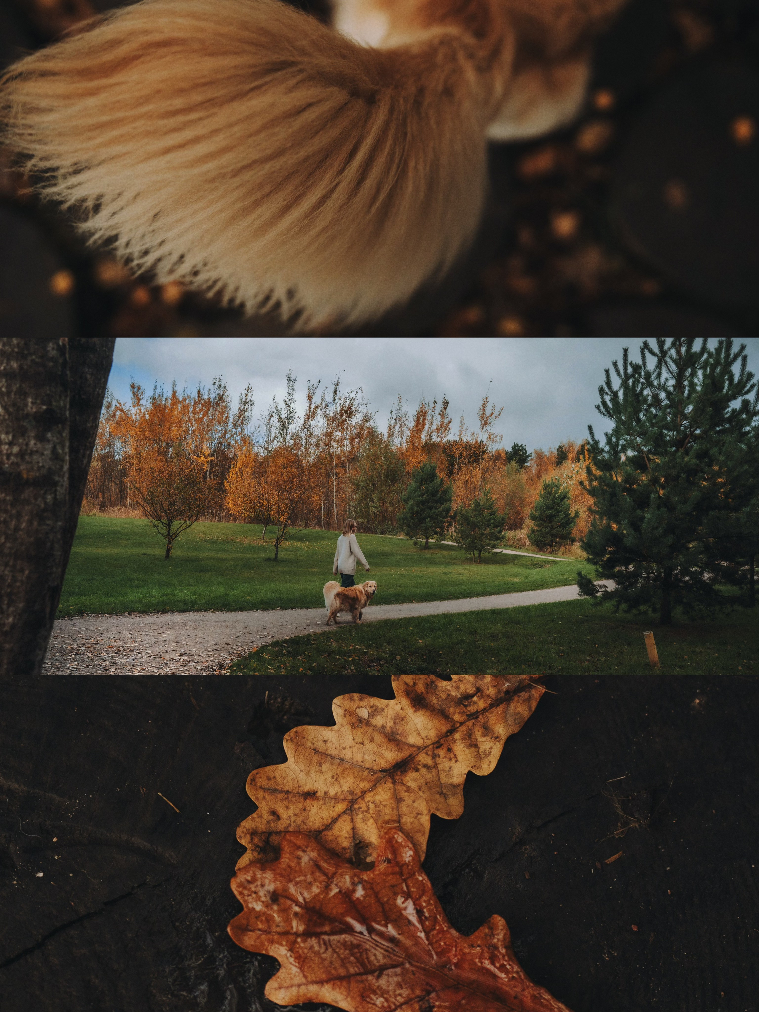 Анастасия и Айза. Фотограф анималист в Москве и Санкт-Петербурге Свиридова Анна