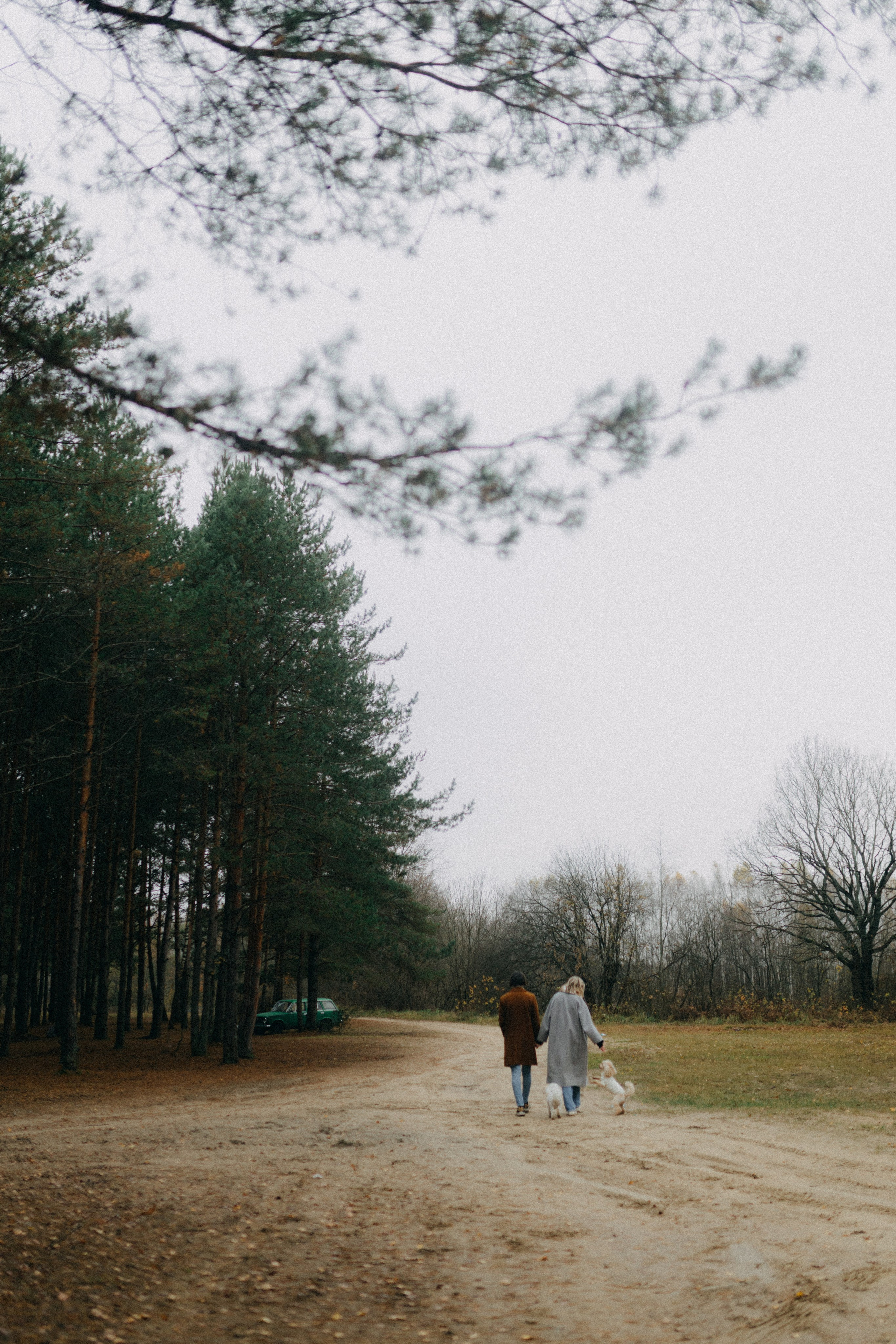 Лена & Миша. Фотограф НОГИНСК, Москва, Анастасия Белая