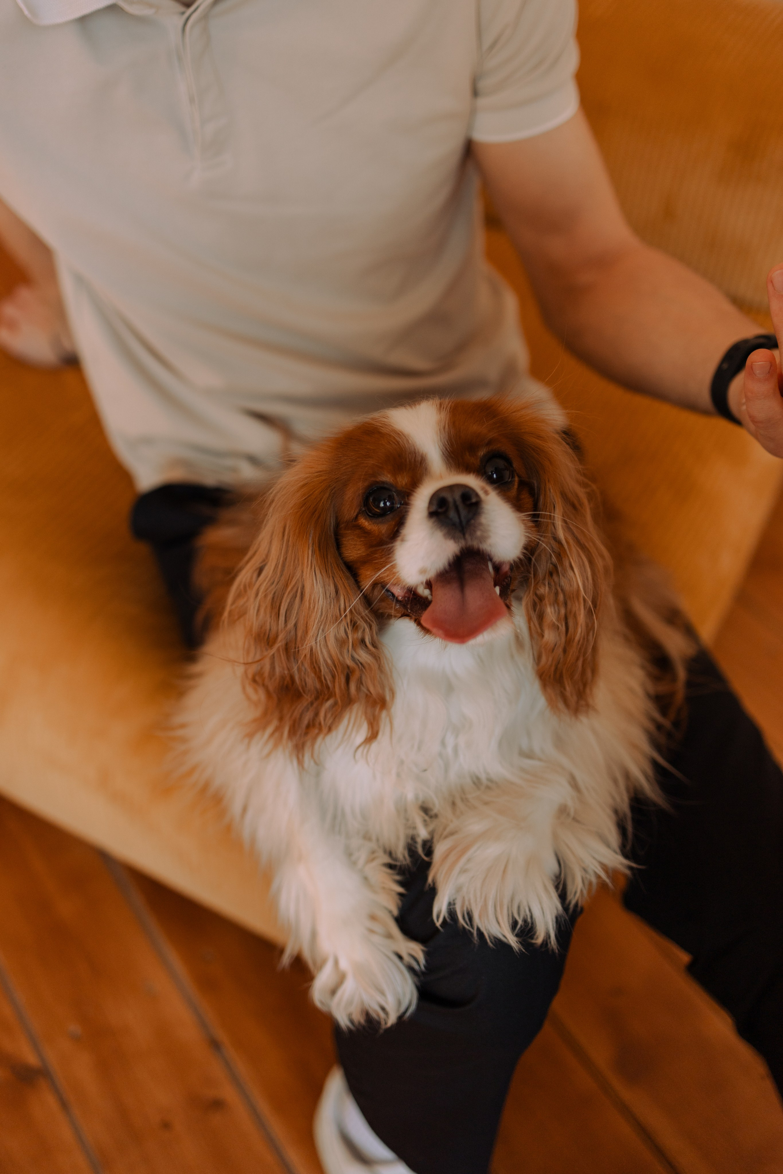 Шерри и ее семья. Фотограф — Анималист | Санкт-Петербург