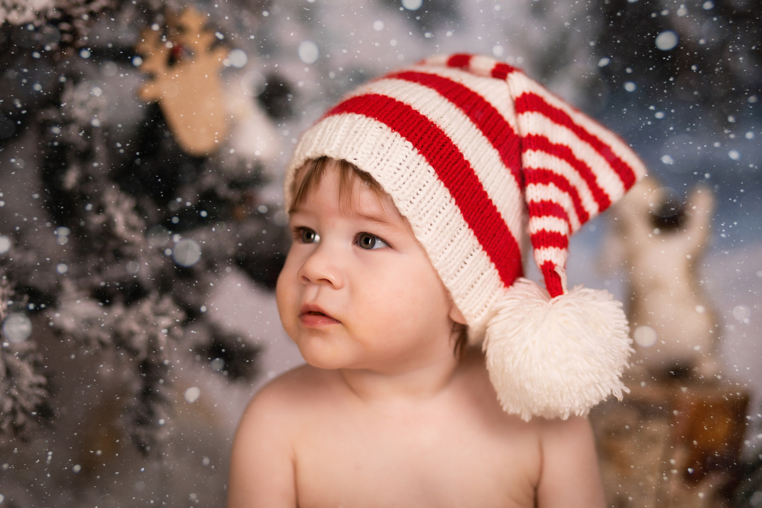 Новый год 2026. ФОТОГРАФ НА ГОДИК, БЕРЕМЕННОСТИ, НОВОРОЖДЕННЫХ, КРЕЩЕНИЯ МОСКВА