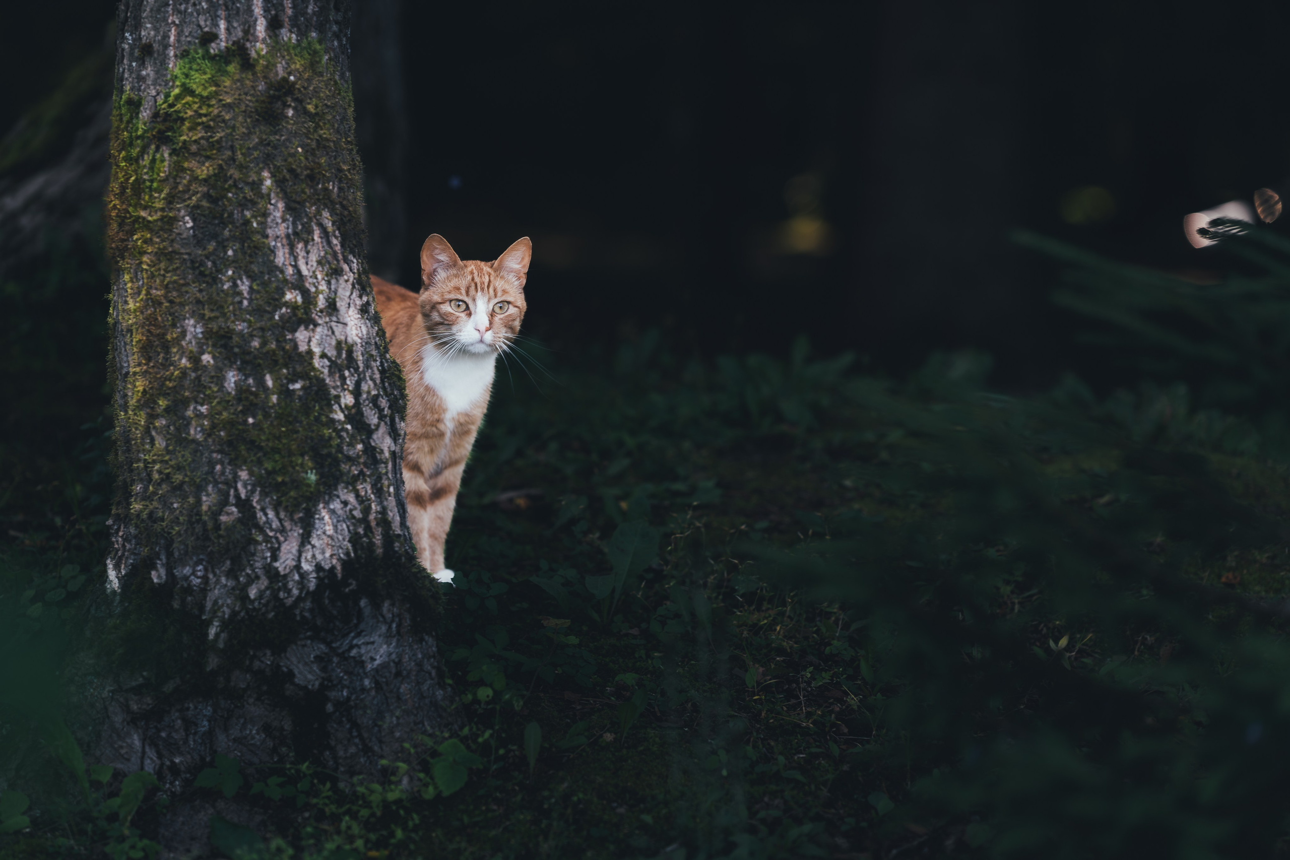 Семейный фотограф в Таганке — Душевные фотосессии для всей семьи. Наталья Дукалова фотограф Щелково Королев Пушкино Москва Балашиха