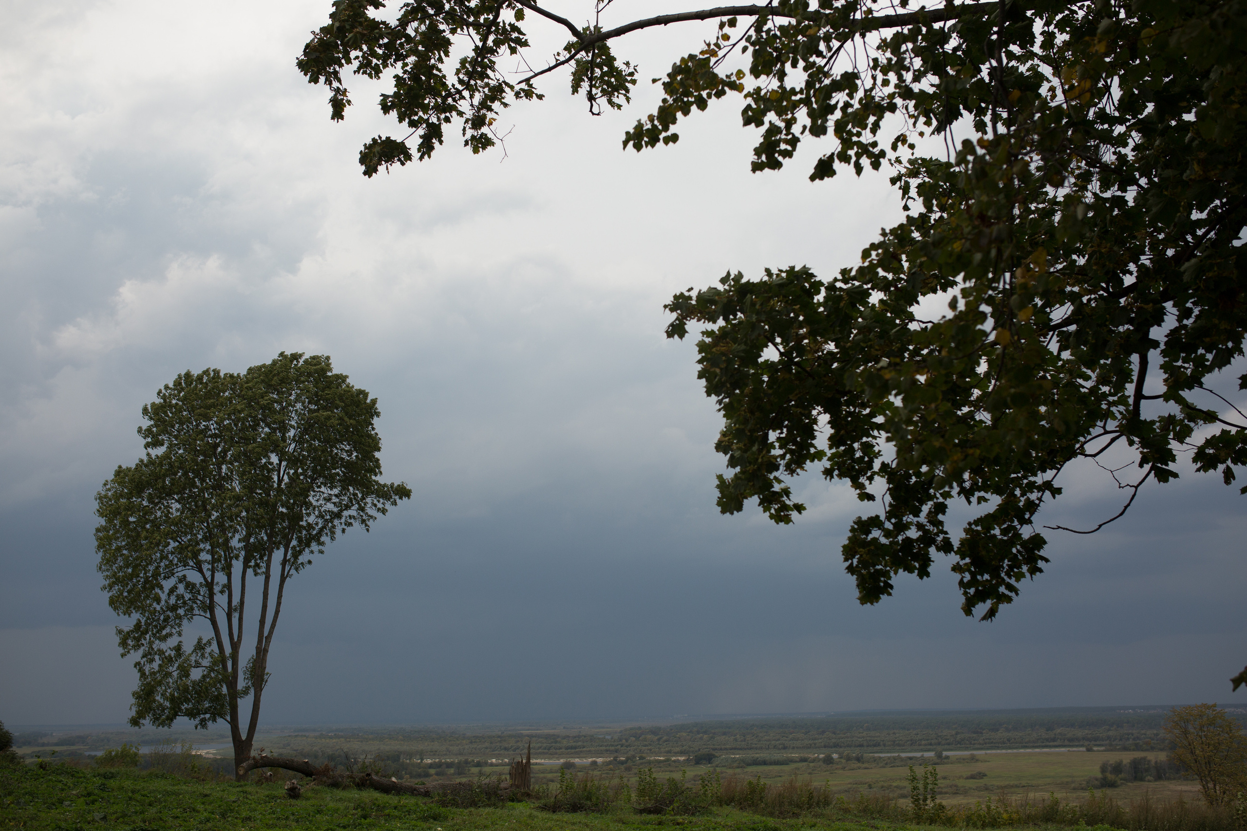 Диана и Владимир/ 23.09.2018. Свадебный, семейный фотограф в Дзержинске, Нижнем Новгороде Наталья Хр