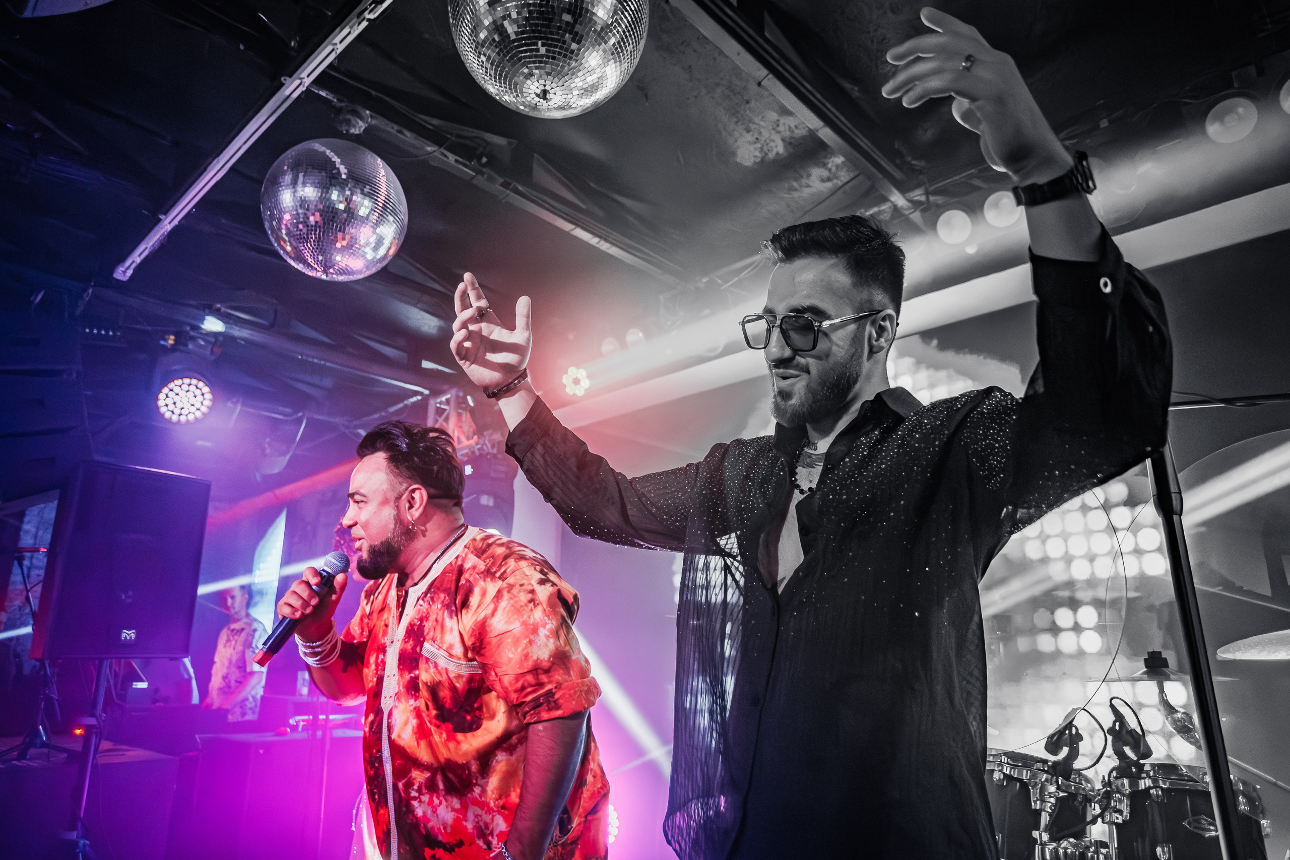 «Митя Фомин"_Чайка на пляже_Ялта_28.06.2025 г. Аминов Руслан | Фотограф