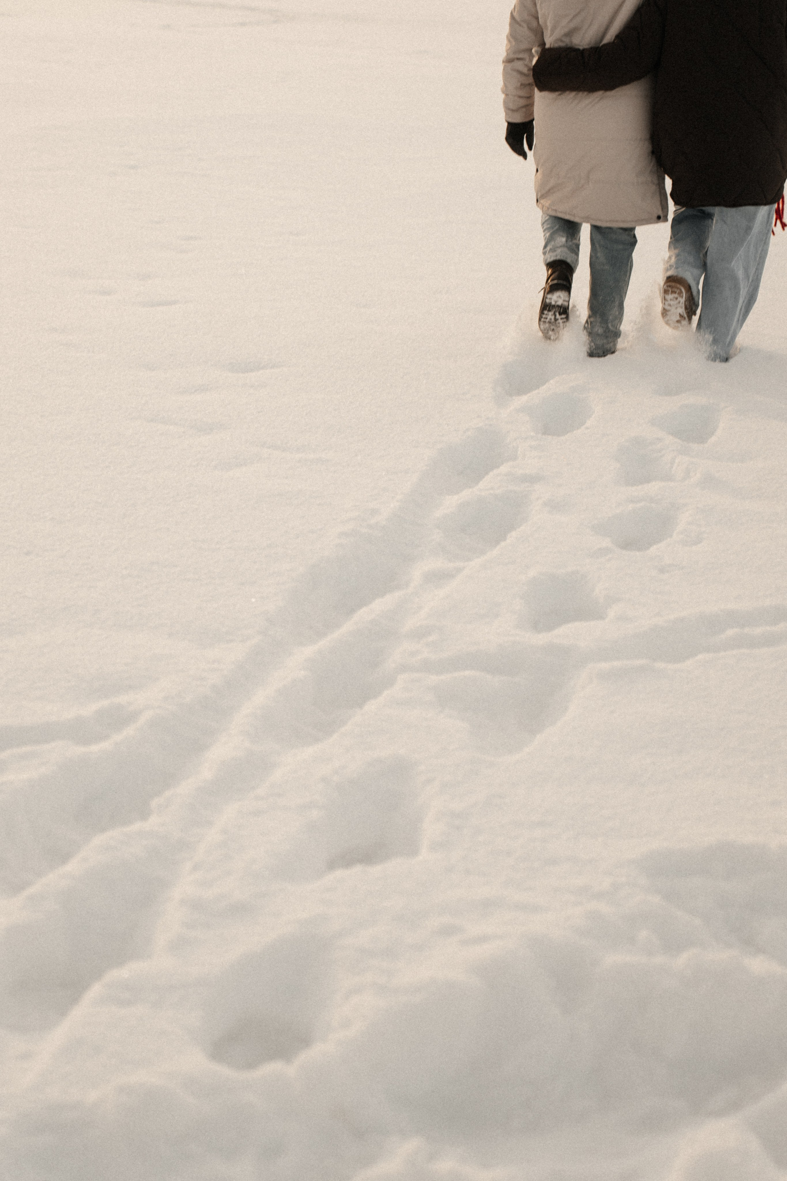 [our pulses aligned…]. Фотограф в Архангельске