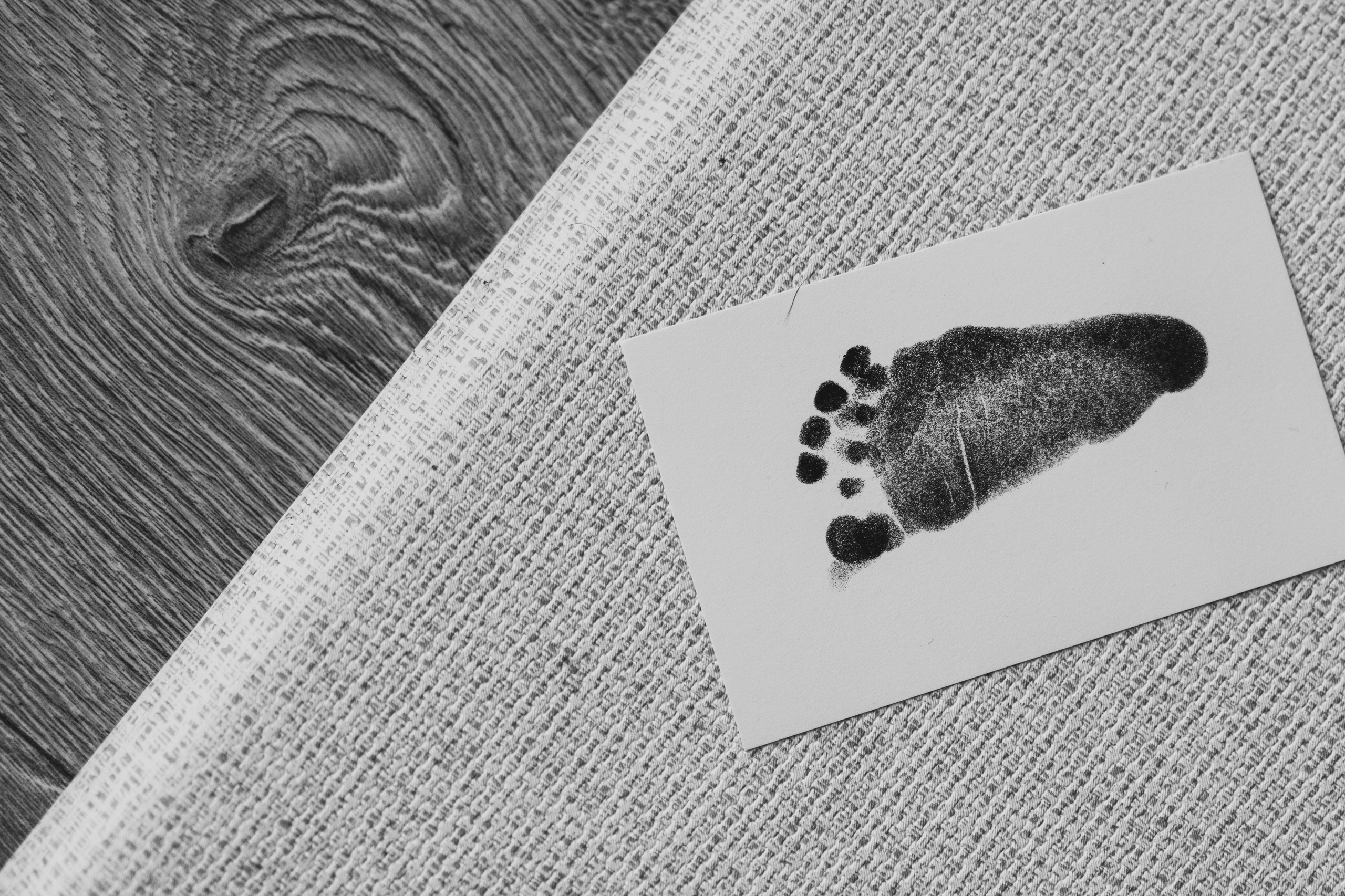 Фотографии. Семейный и детский фотограф и видеограф в Москве, Серпухове и Тарусе Валерия Сорокина