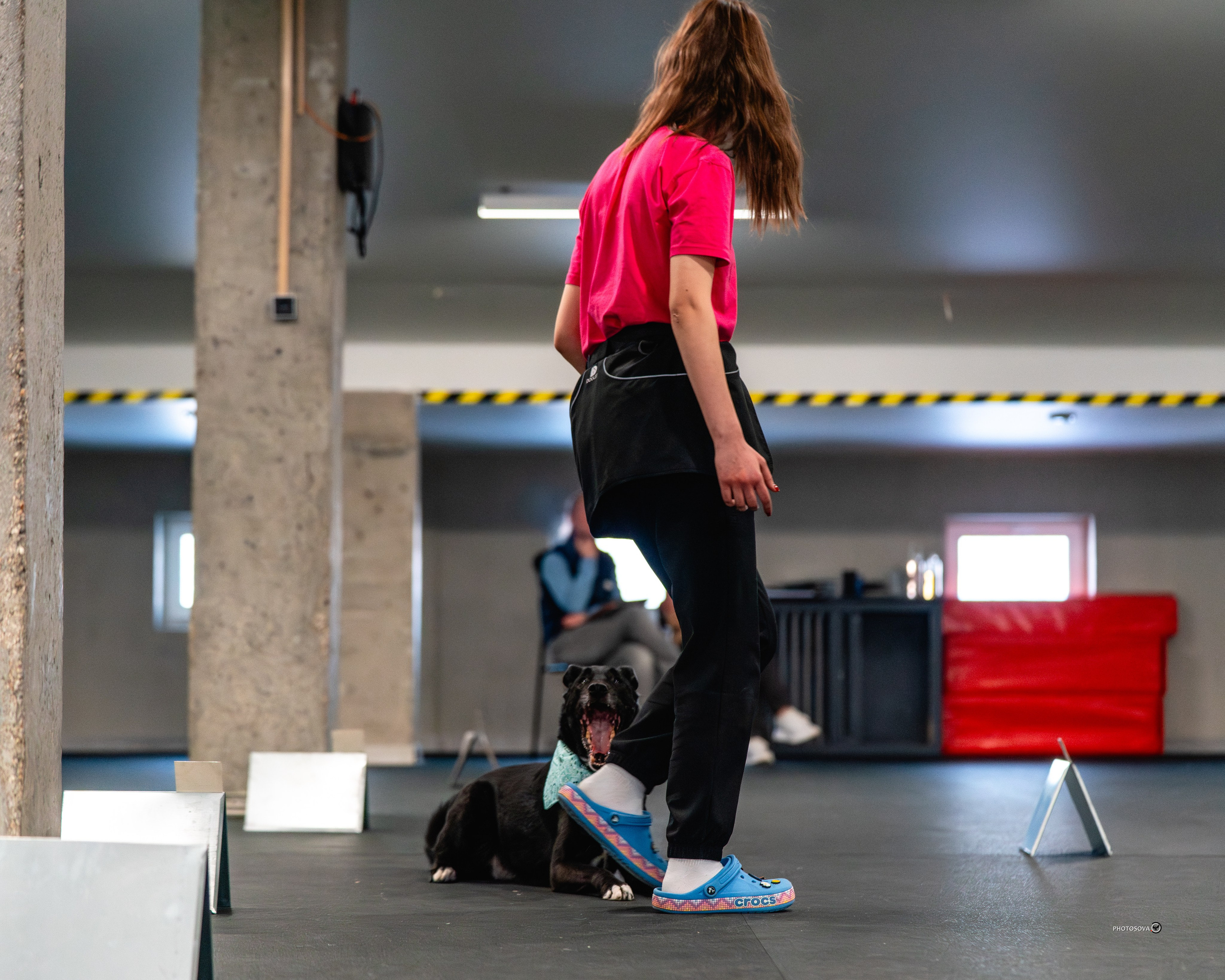 ТЫ И Я (соревнования по ралли-обидиенс). Фотограф-анималист, семейный фотограф в Москве и Подмосковье. Фотосъёмка кинологических дисциплин