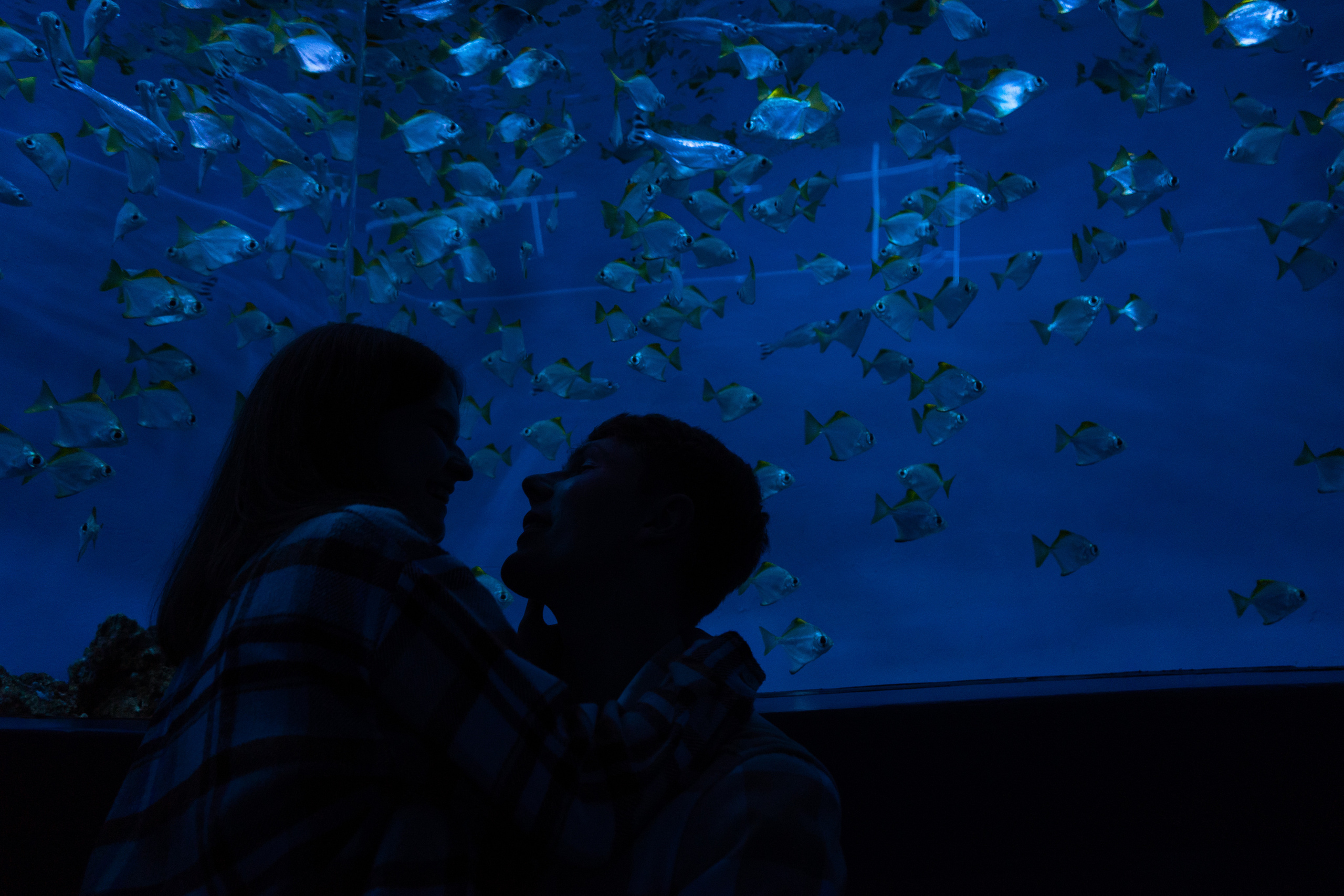 Рыбы. Фотограф Томск Новосибирск Елизавета Вахтеева