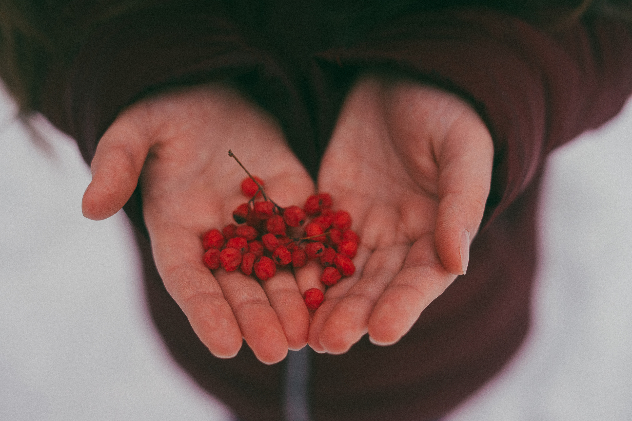 Сочельник. Фотограф Томск Новосибирск Елизавета Вахтеева