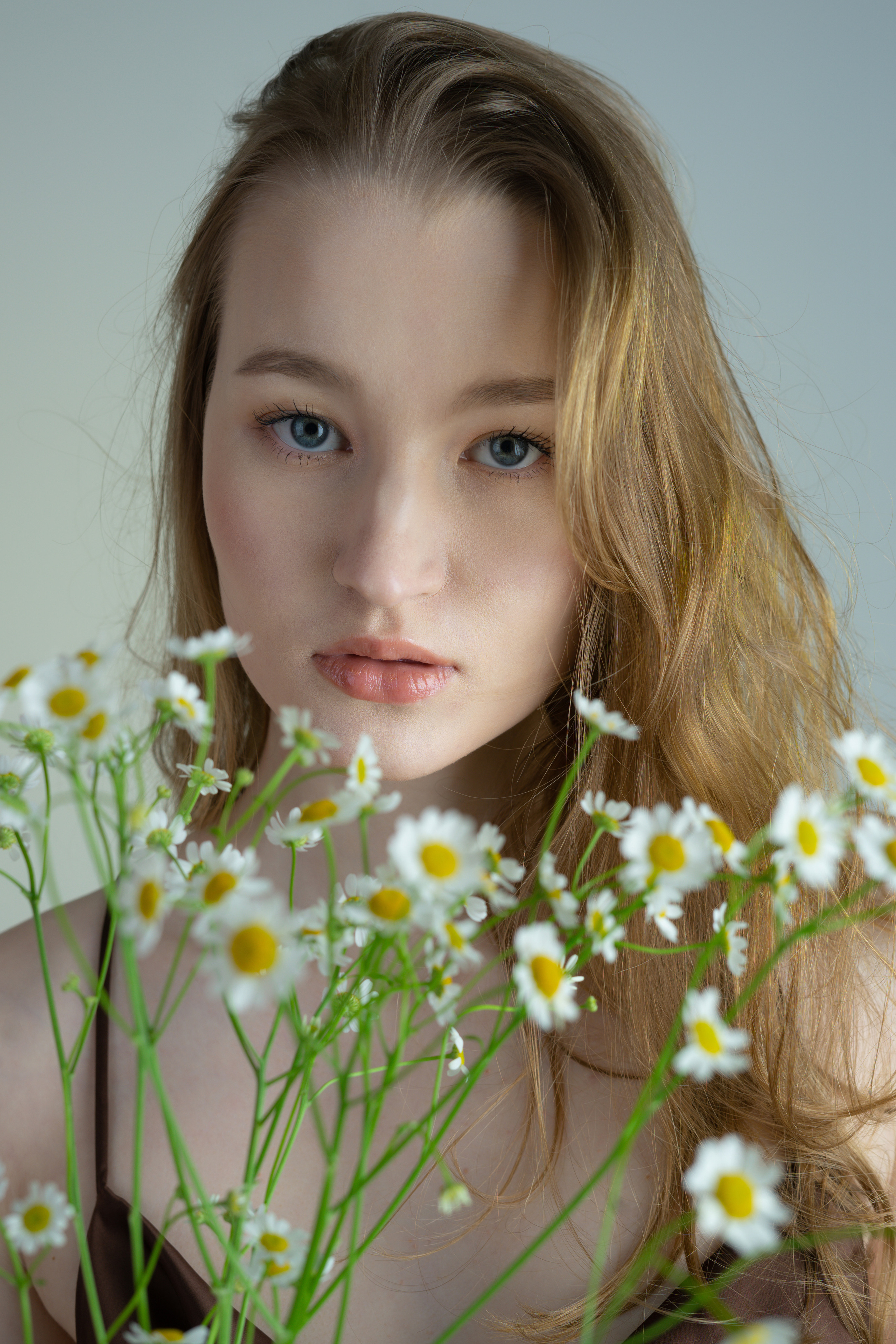 Ромашки. Фотограф Томск Новосибирск Елизавета Вахтеева