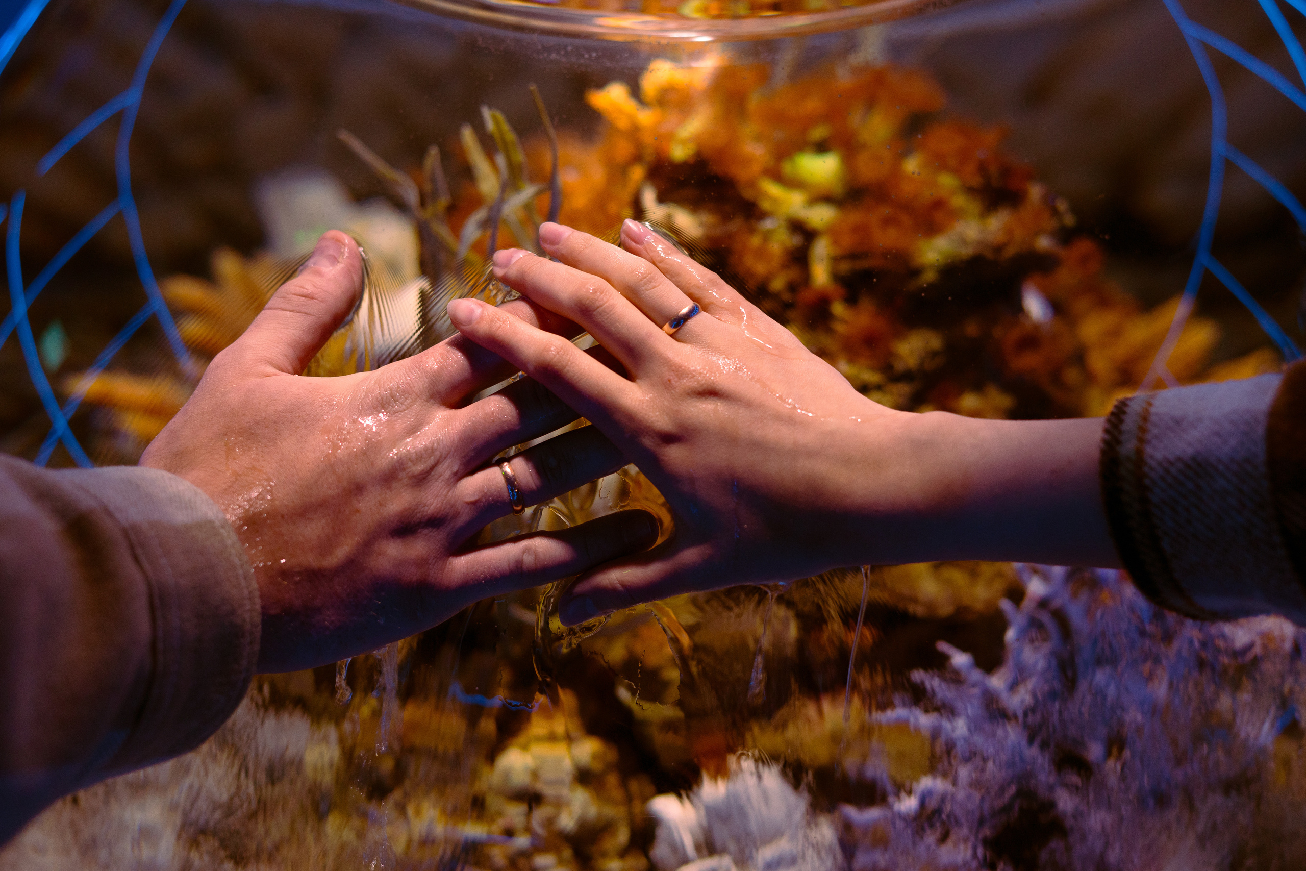 Рыбы. Фотограф Томск Новосибирск Елизавета Вахтеева