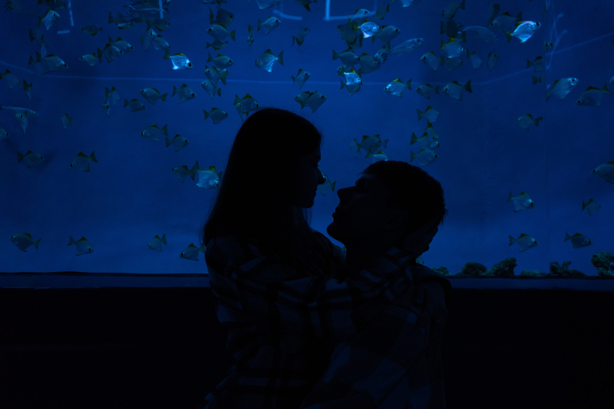 Рыбы. Фотограф Томск Новосибирск Елизавета Вахтеева