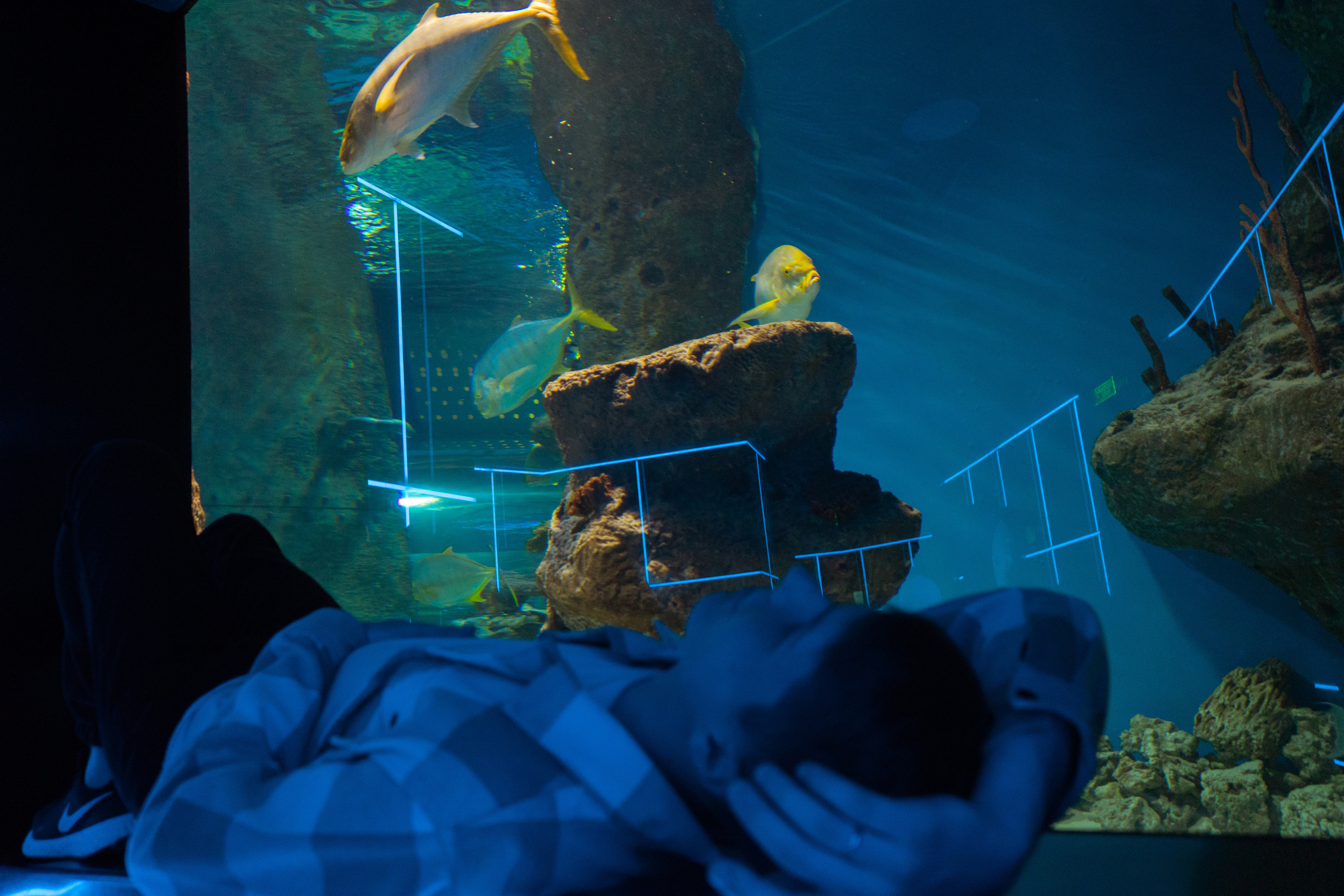 Рыбы. Фотограф Томск Новосибирск Елизавета Вахтеева