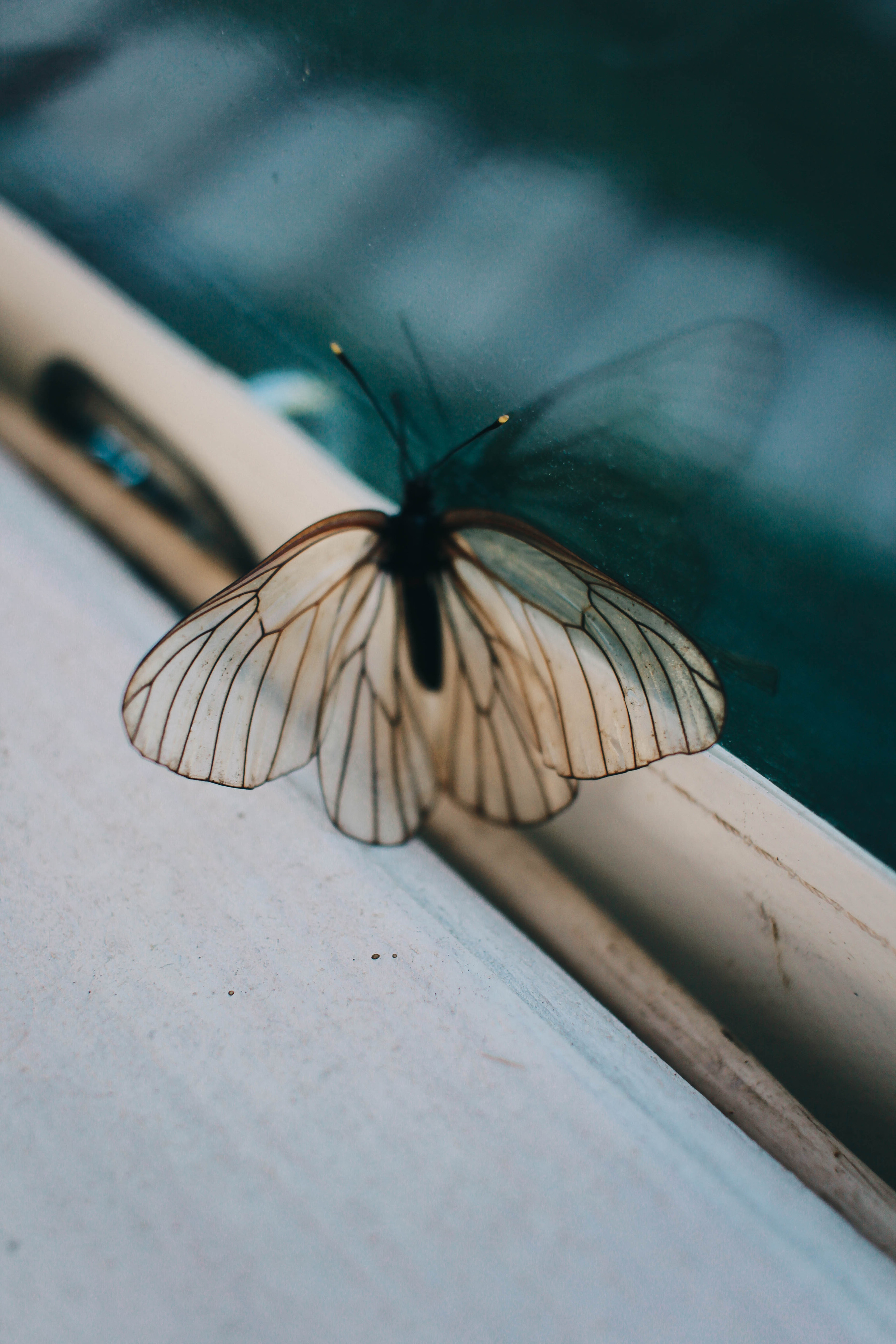 Ксюша Паша. Фотограф Томск Новосибирск Елизавета Вахтеева