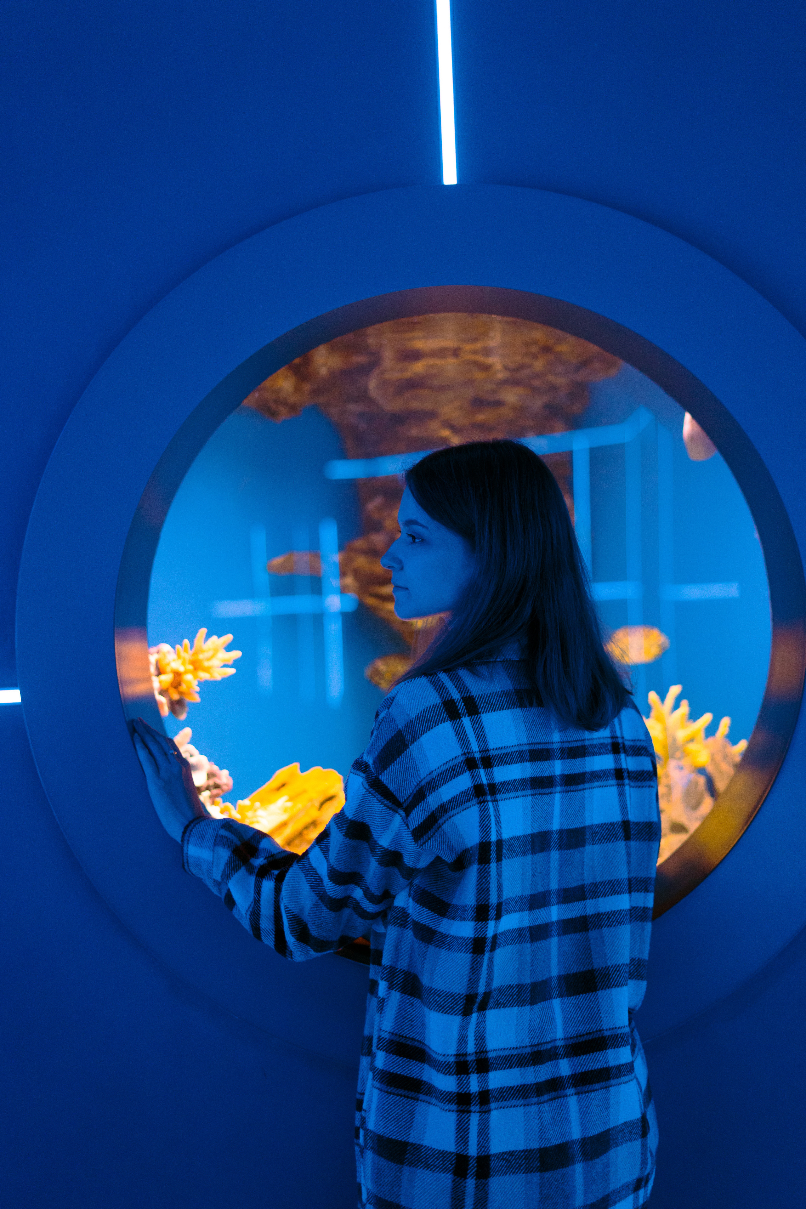 Рыбы. Фотограф Томск Новосибирск Елизавета Вахтеева