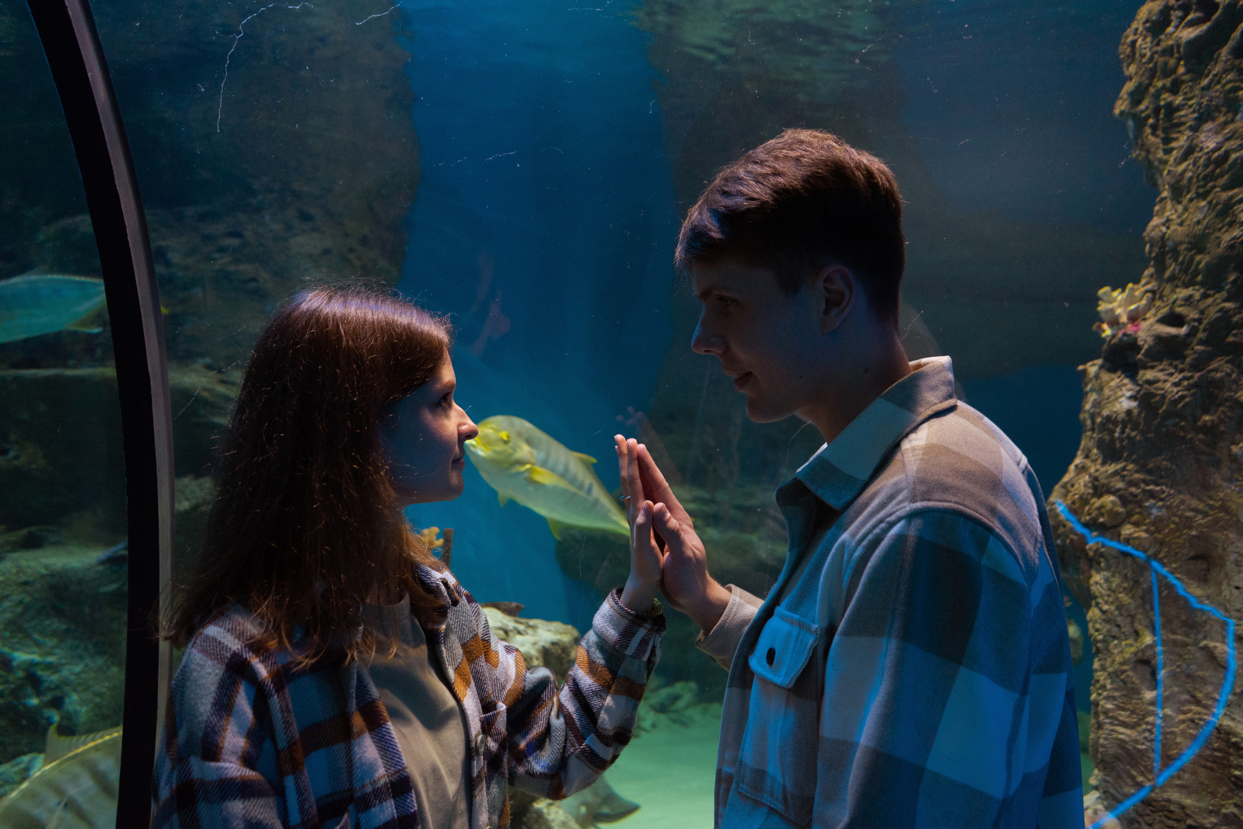 Рыбы. Фотограф Томск Новосибирск Елизавета Вахтеева