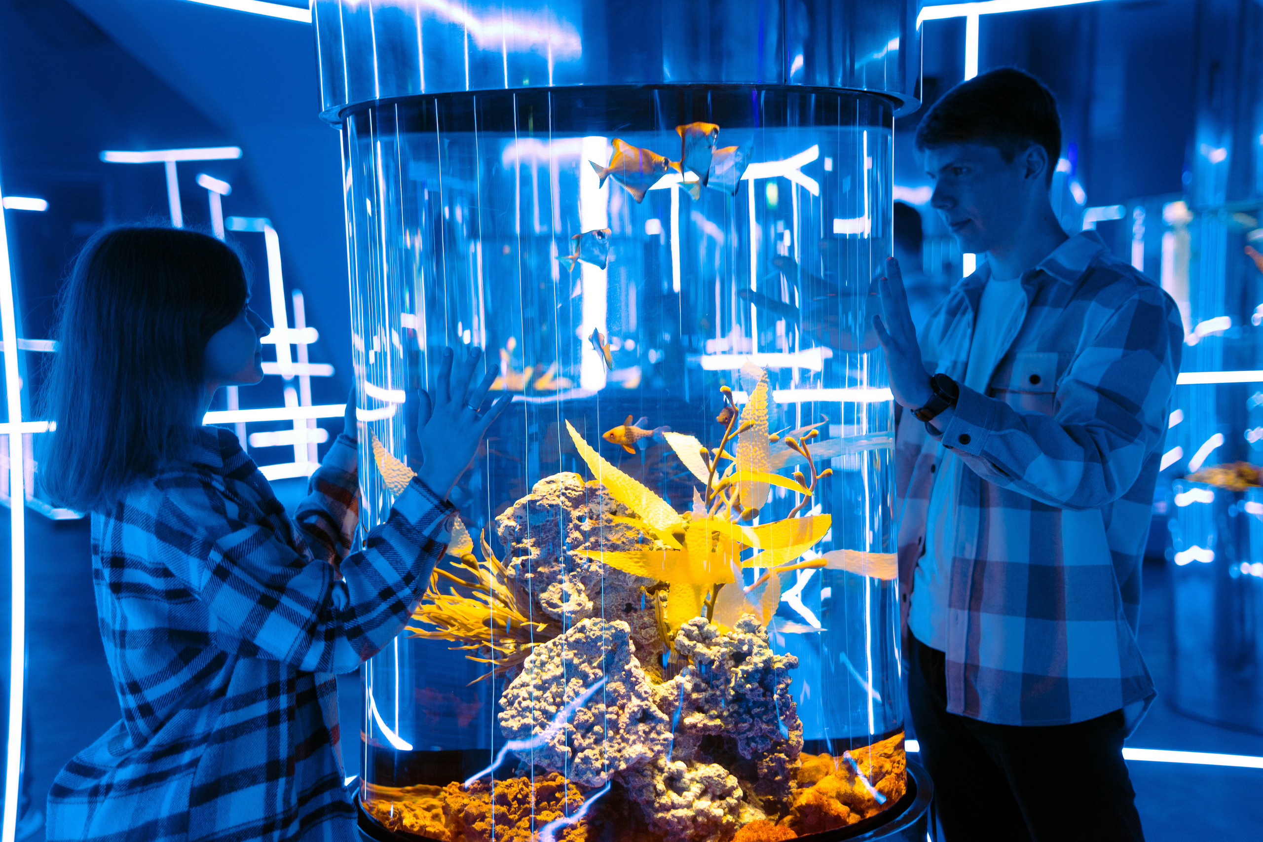 Рыбы. Фотограф Томск Новосибирск Елизавета Вахтеева