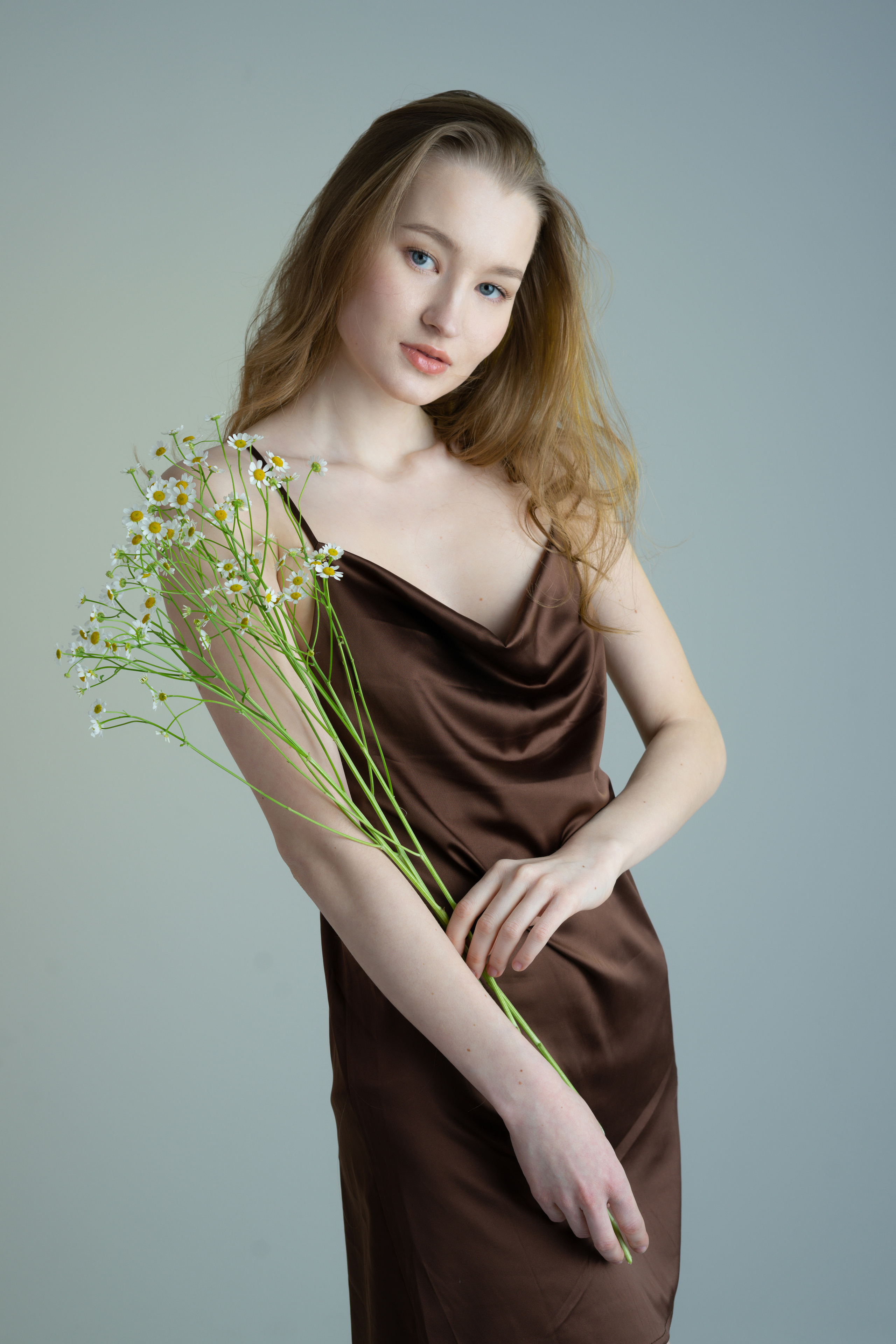 Ромашки. Фотограф Томск Новосибирск Елизавета Вахтеева