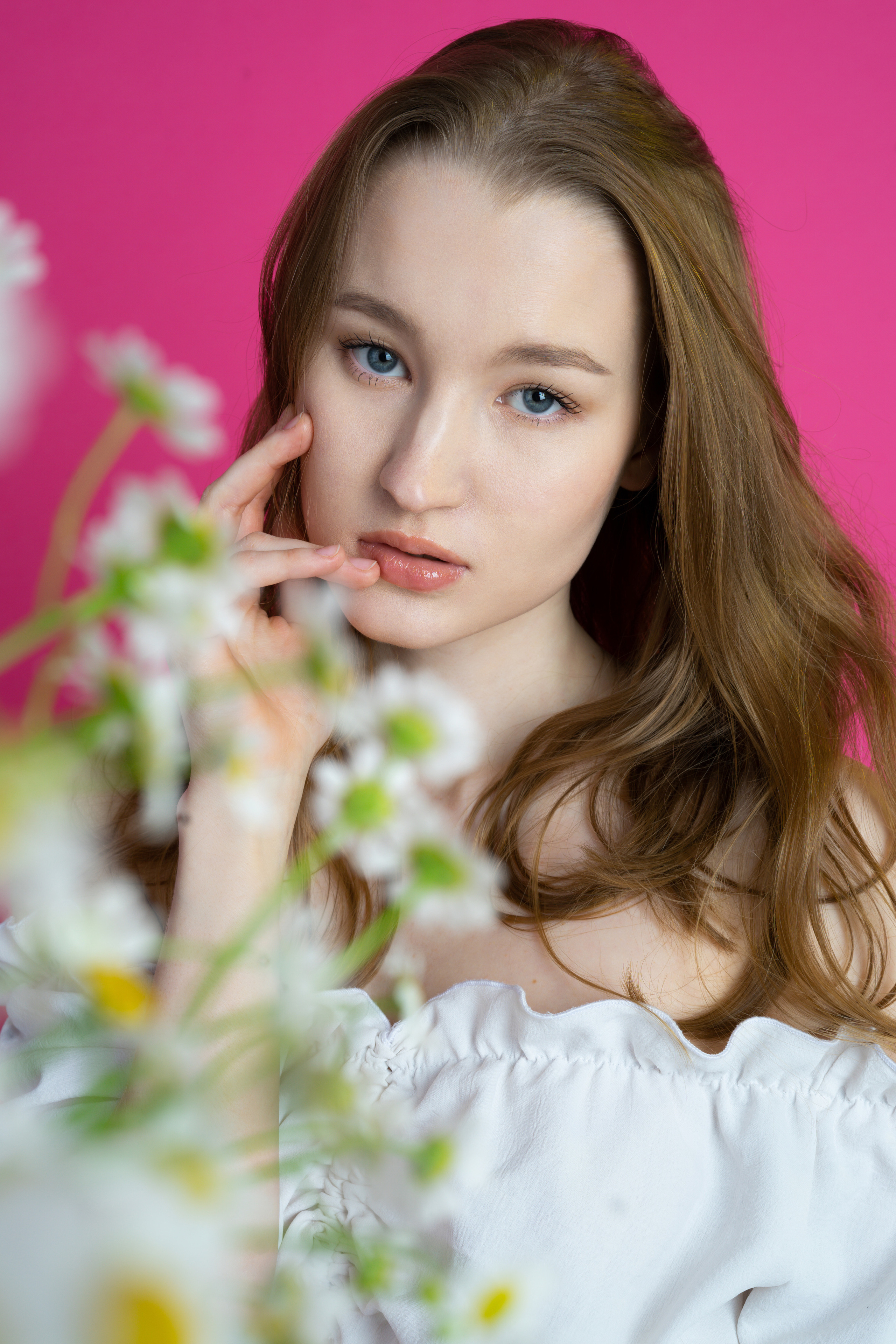 Ромашки. Фотограф Томск Новосибирск Елизавета Вахтеева