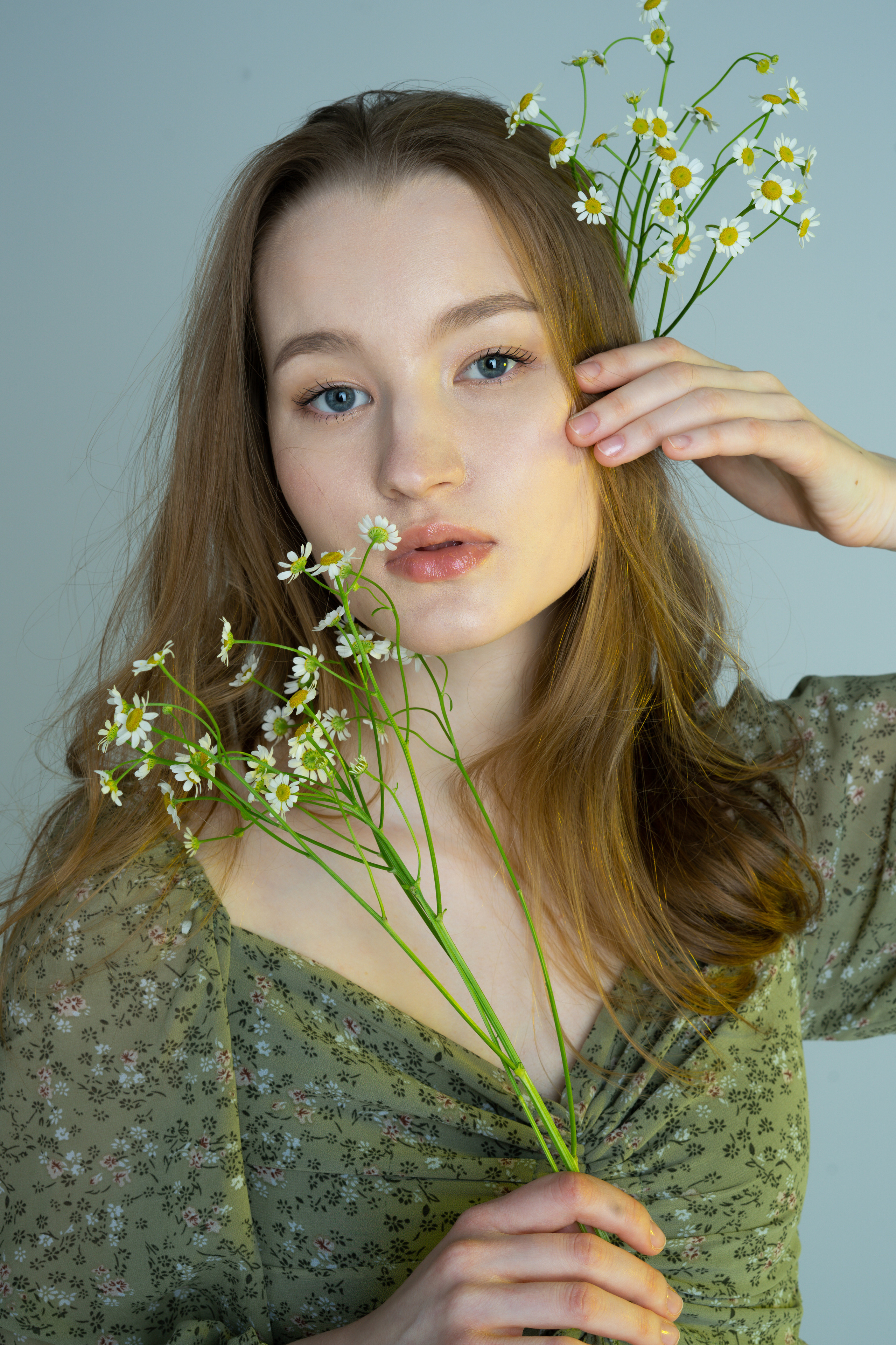 Ромашки. Фотограф Томск Новосибирск Елизавета Вахтеева