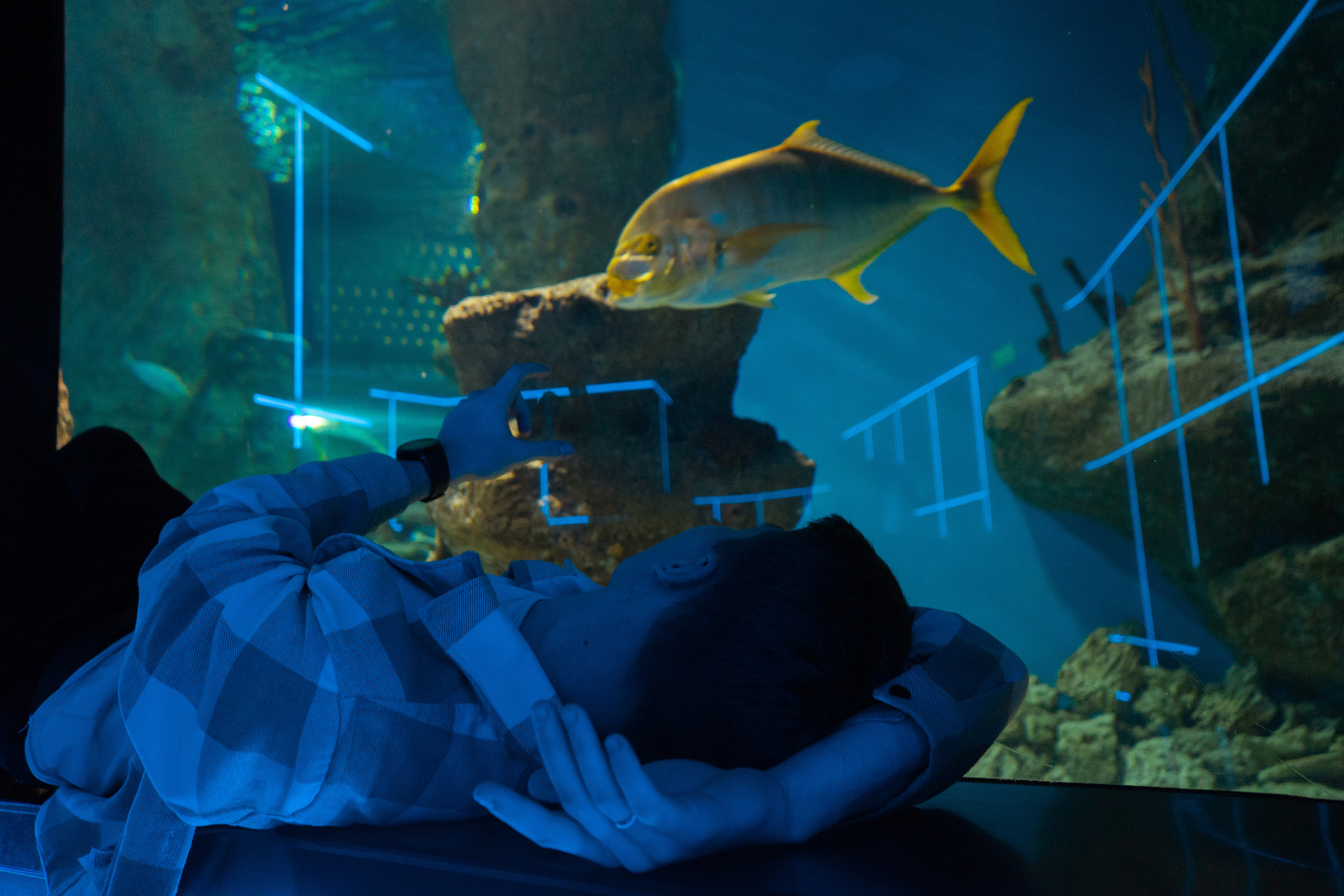 Рыбы. Фотограф Томск Новосибирск Елизавета Вахтеева