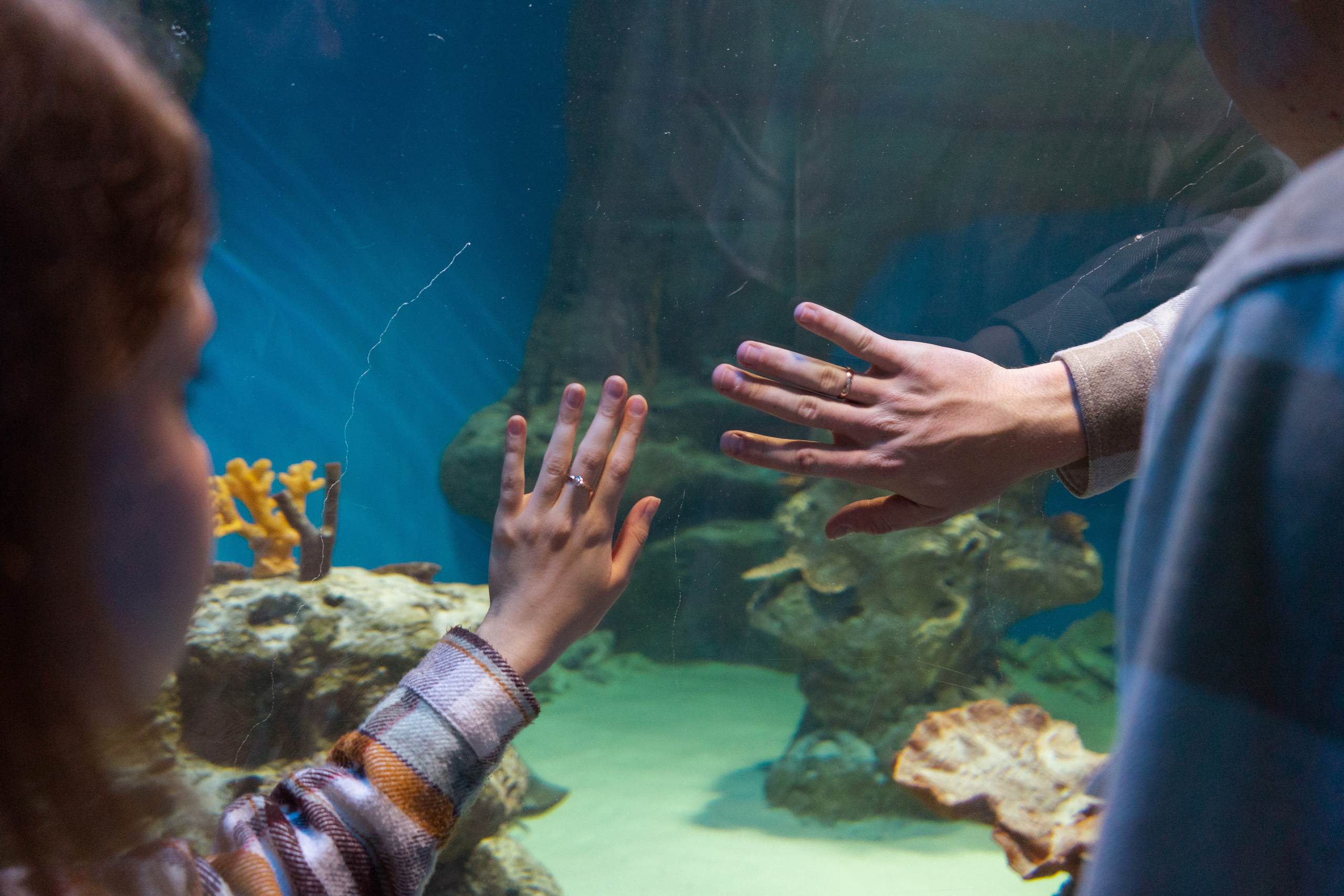 Рыбы. Фотограф Томск Новосибирск Елизавета Вахтеева