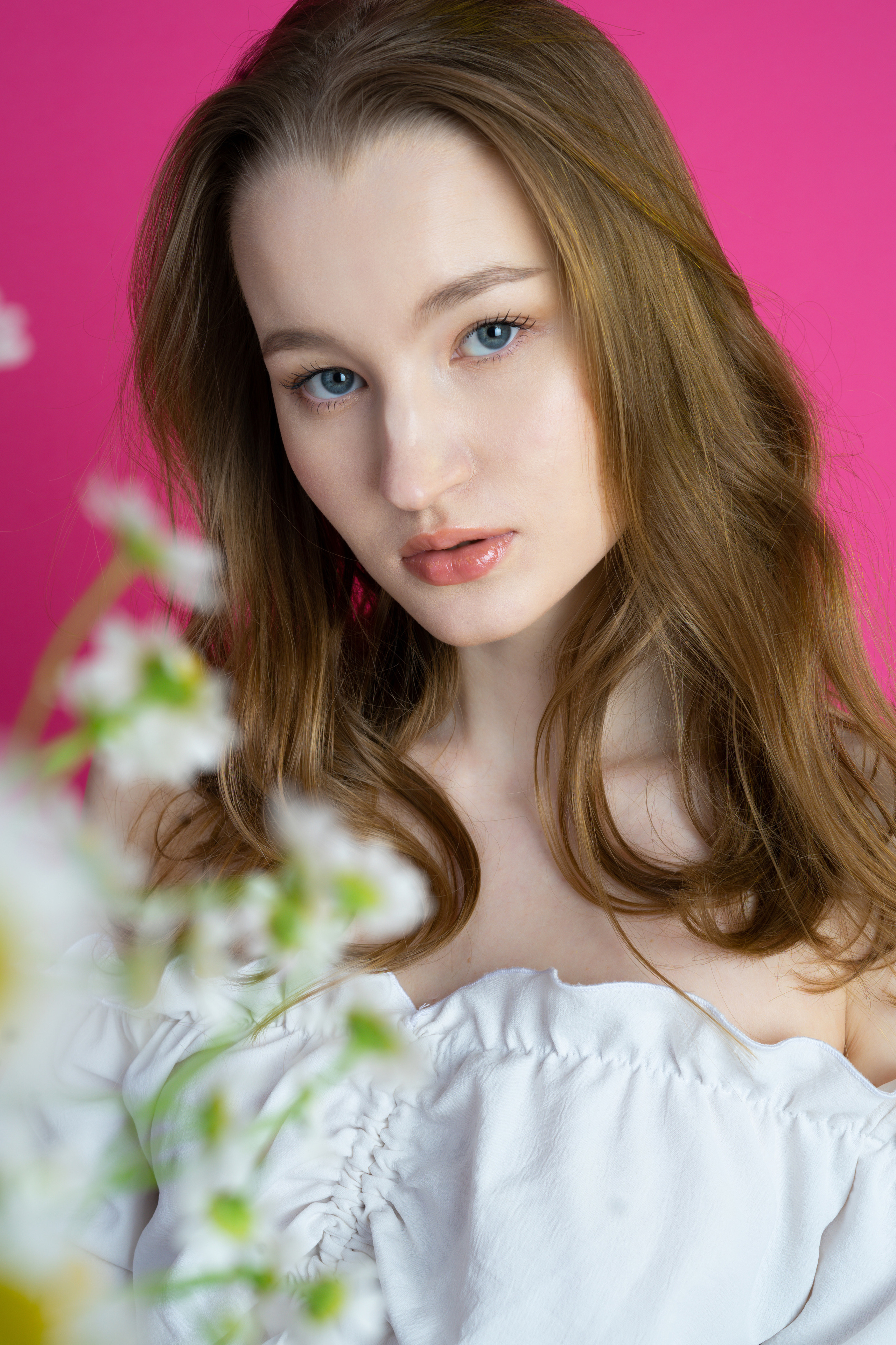 Ромашки. Фотограф Томск Новосибирск Елизавета Вахтеева