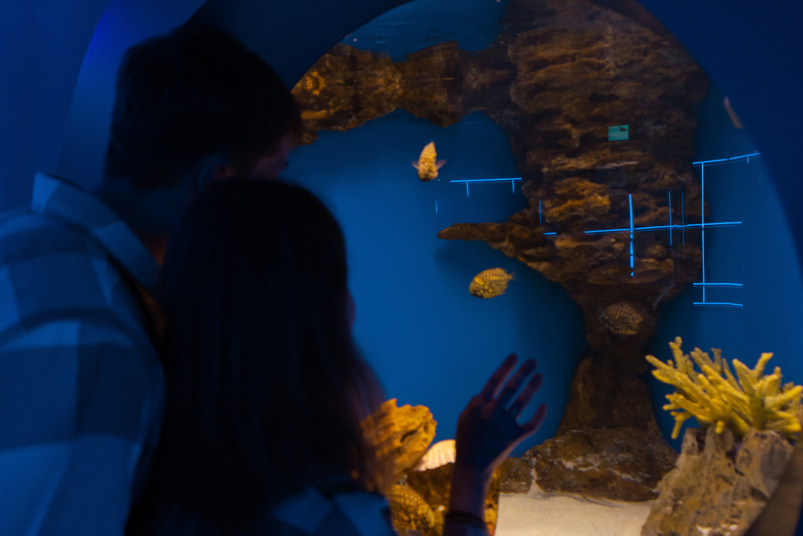 Рыбы. Фотограф Томск Новосибирск Елизавета Вахтеева