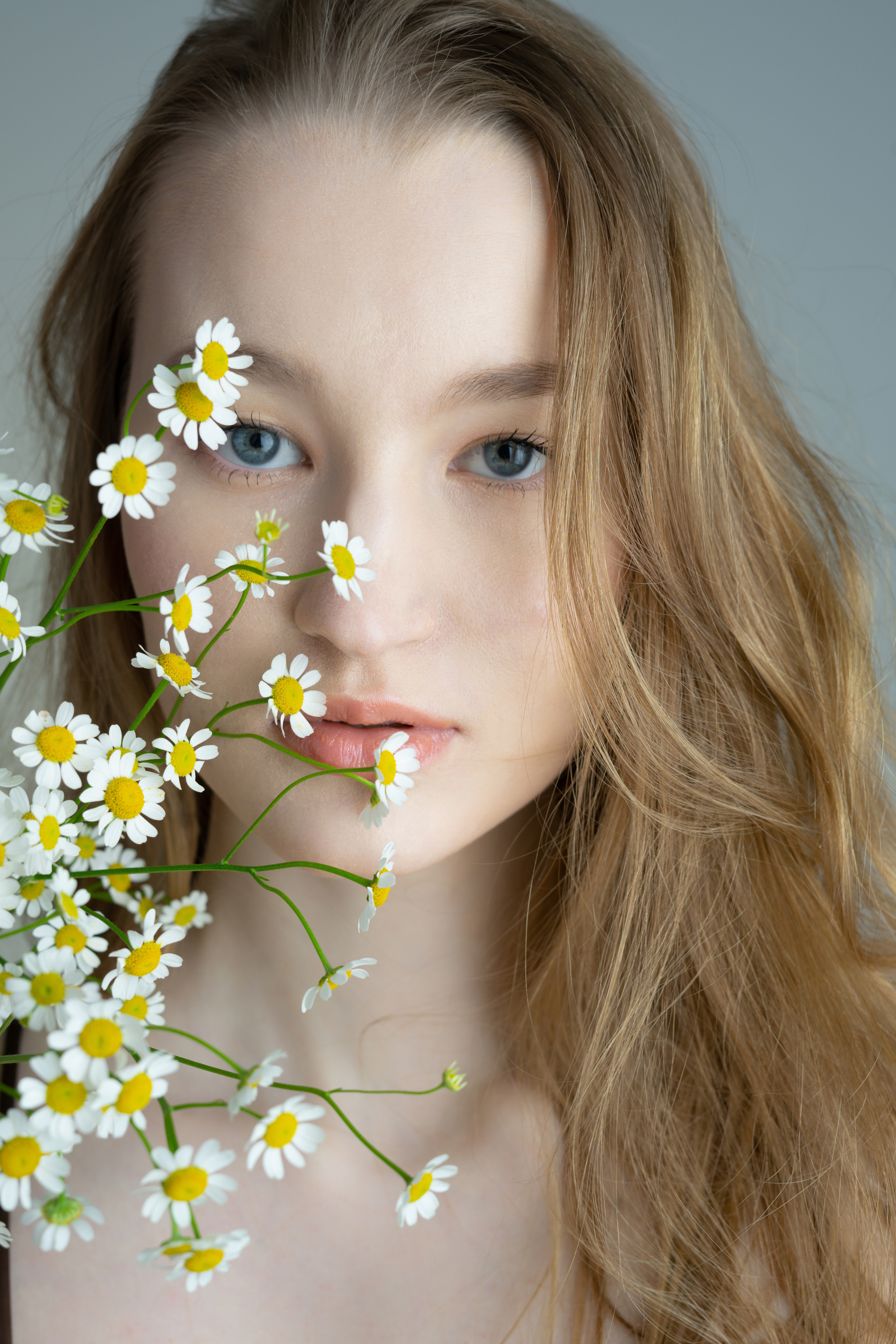 Ромашки. Фотограф Томск Новосибирск Елизавета Вахтеева