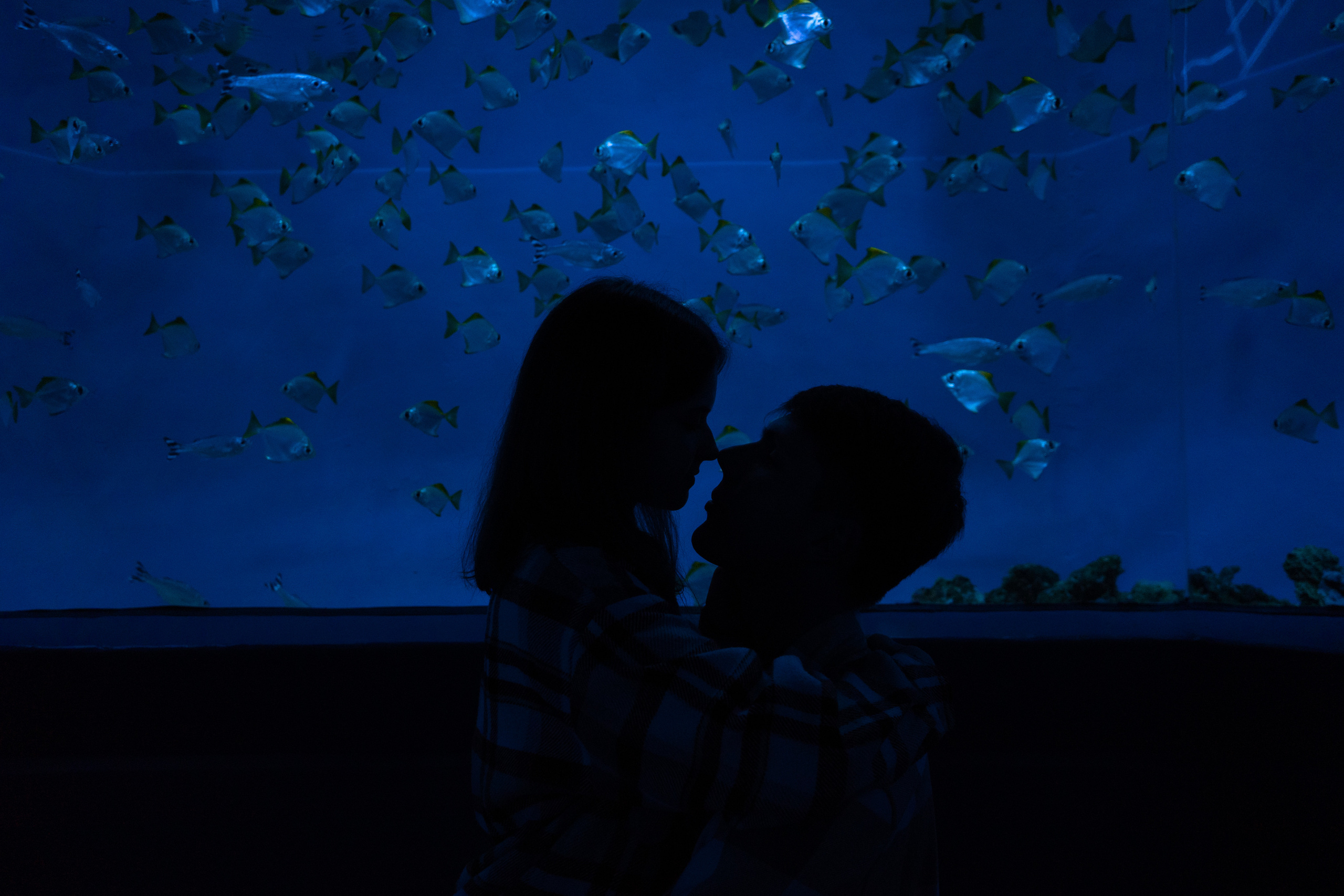 Рыбы. Фотограф Томск Новосибирск Елизавета Вахтеева