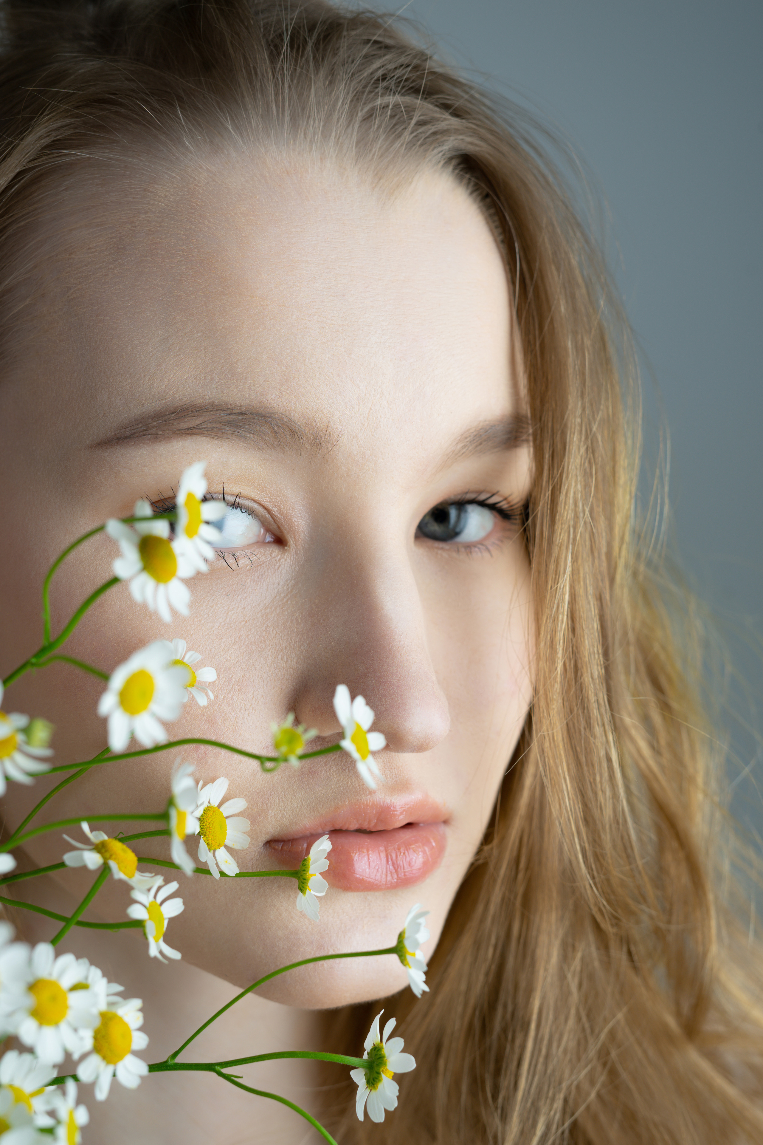 Ромашки. Фотограф Томск Новосибирск Елизавета Вахтеева
