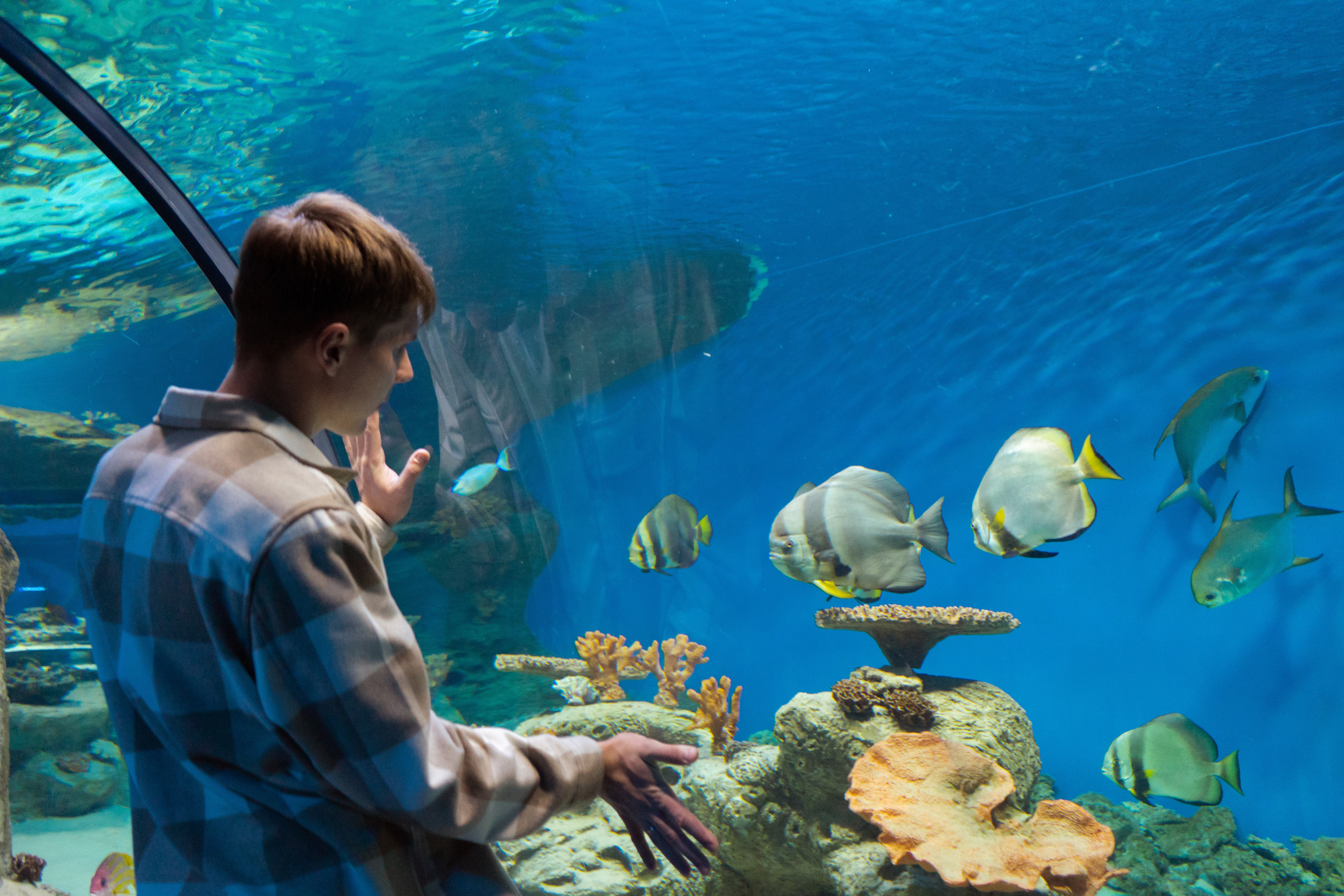 Рыбы. Фотограф Томск Новосибирск Елизавета Вахтеева