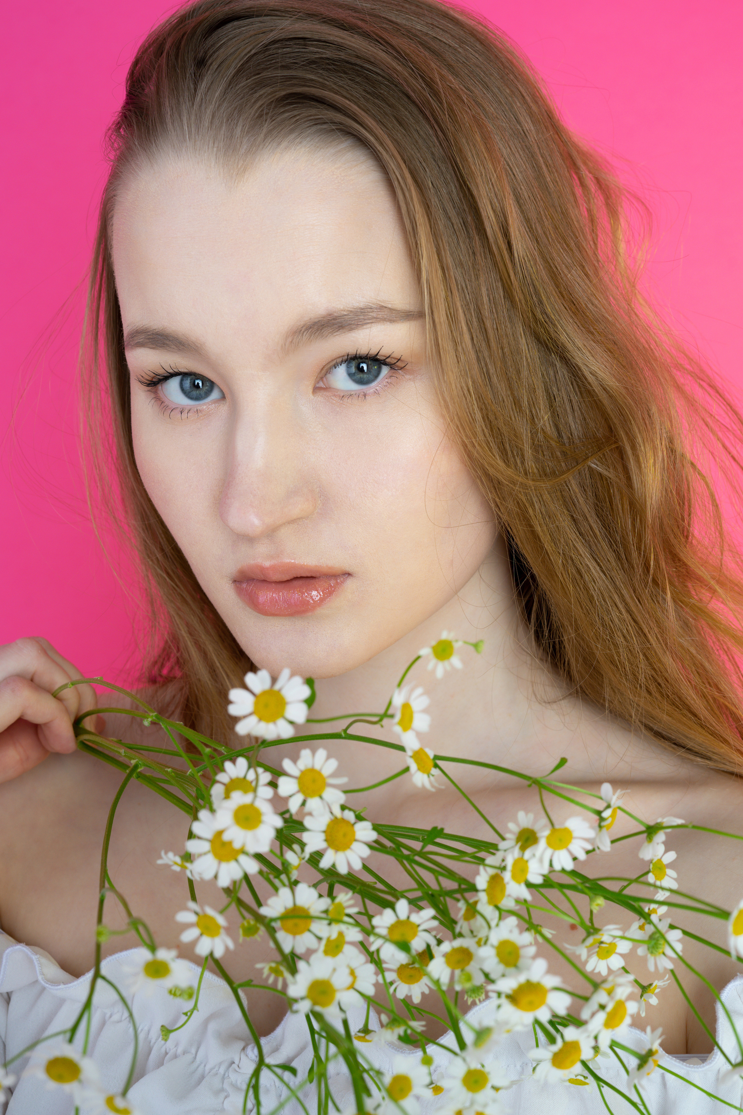 Ромашки. Фотограф Томск Новосибирск Елизавета Вахтеева