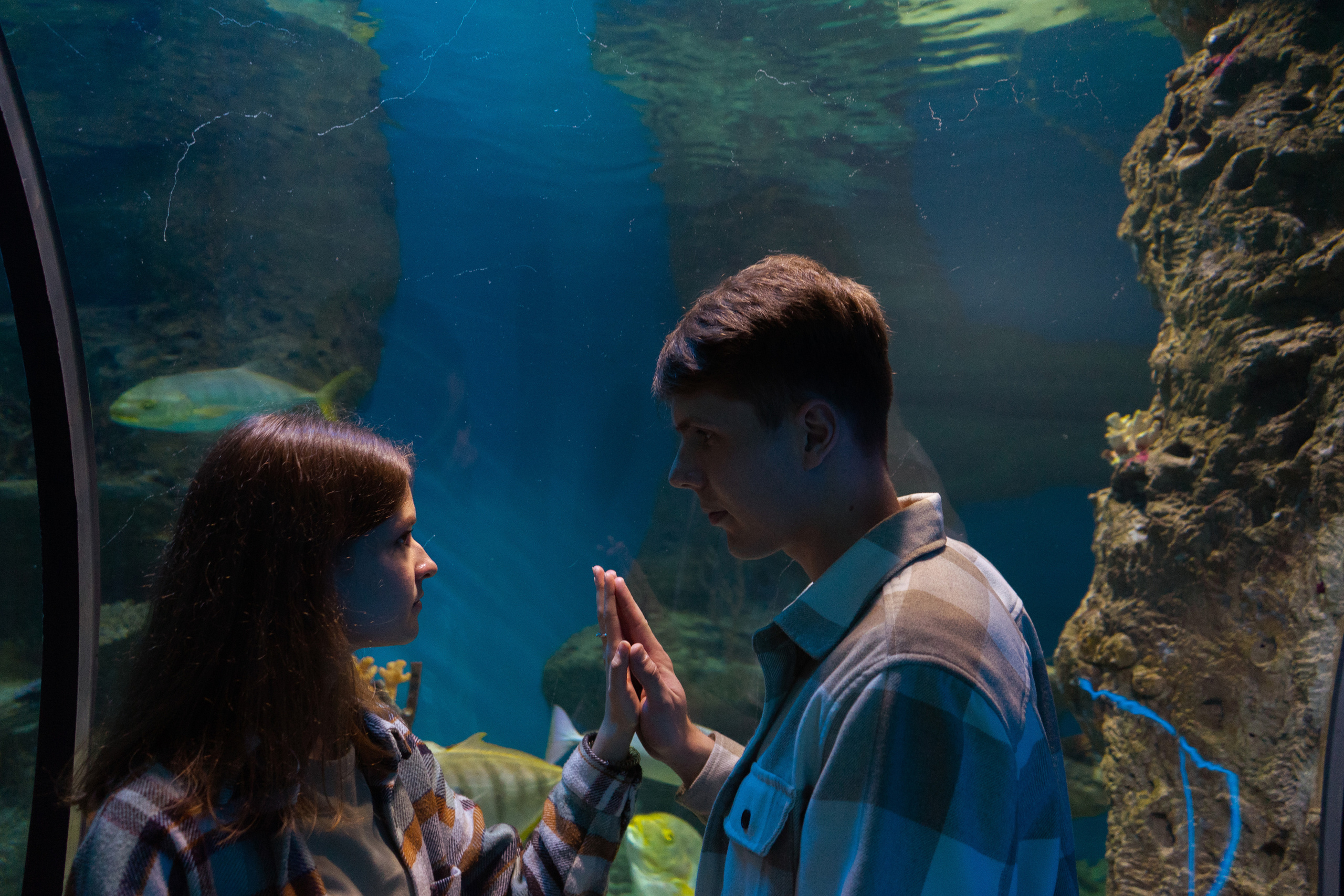 Рыбы. Фотограф Томск Новосибирск Елизавета Вахтеева