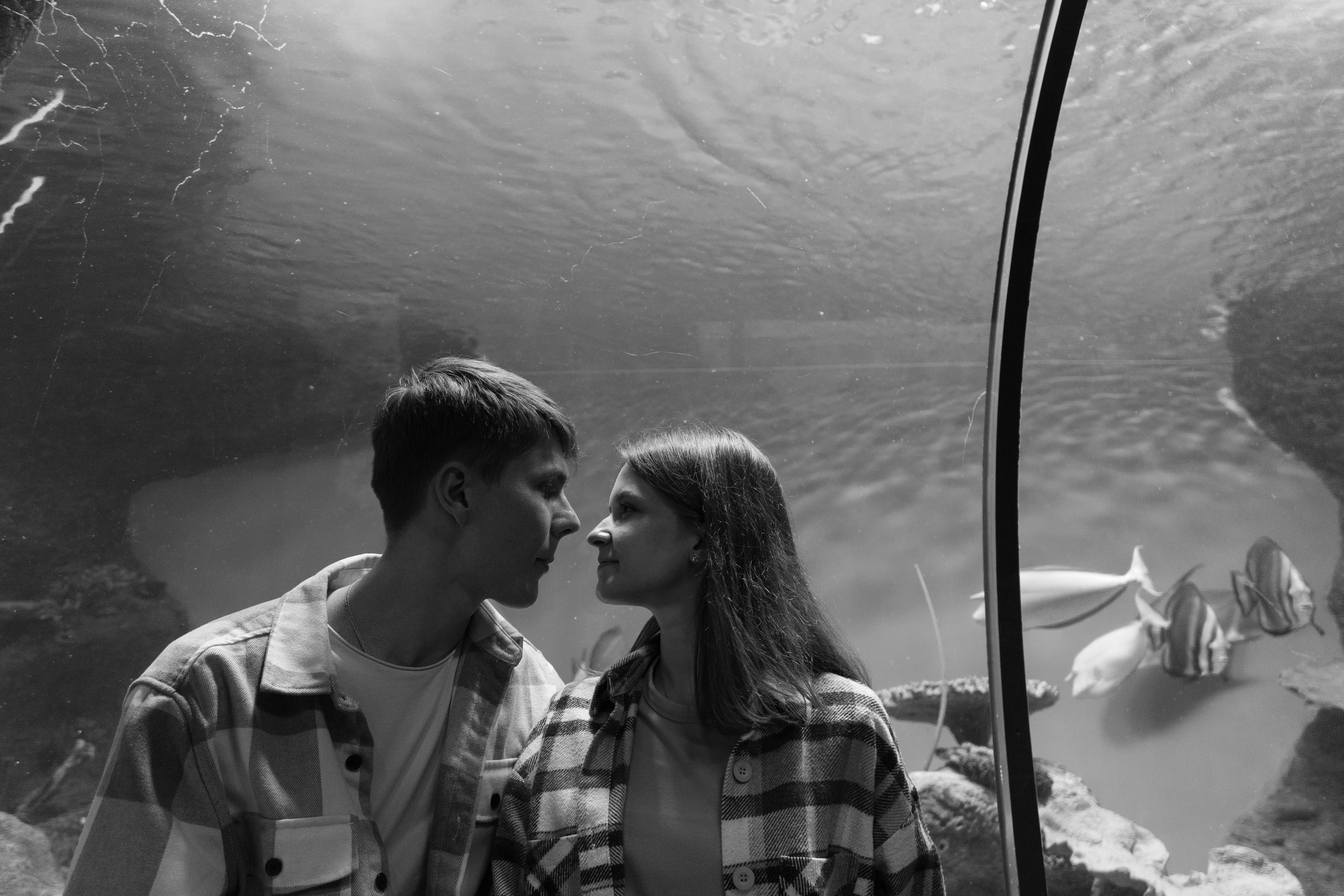 Рыбы. Фотограф Томск Новосибирск Елизавета Вахтеева