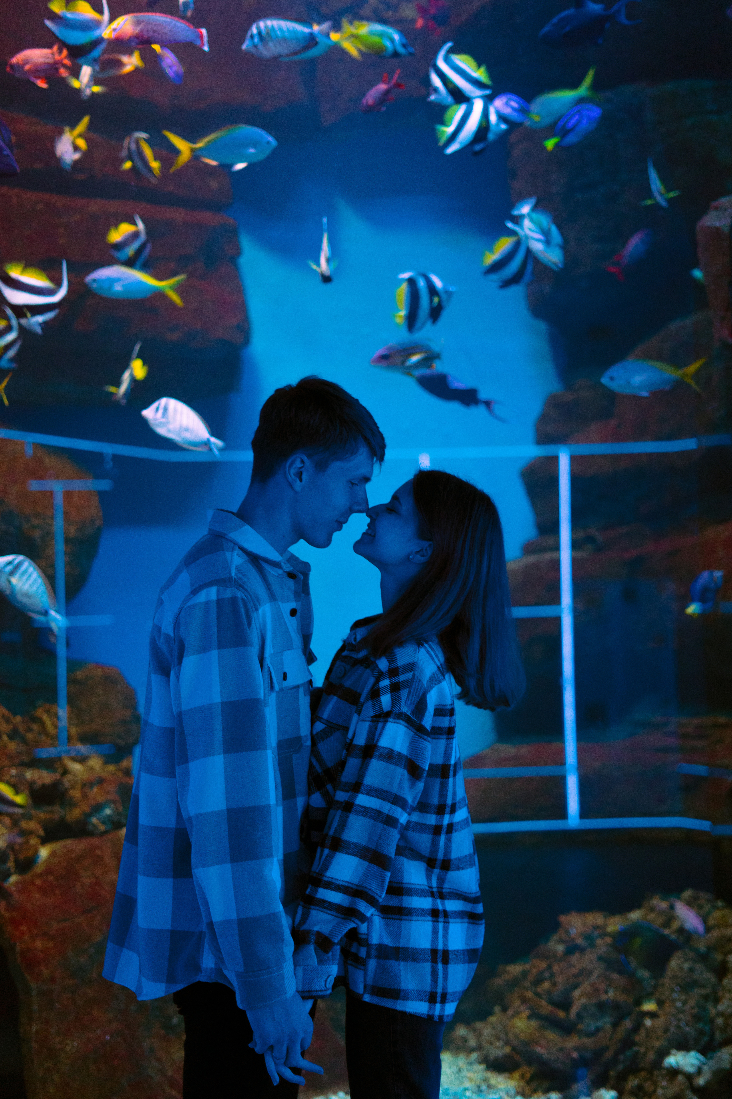 Рыбы. Фотограф Томск Новосибирск Елизавета Вахтеева