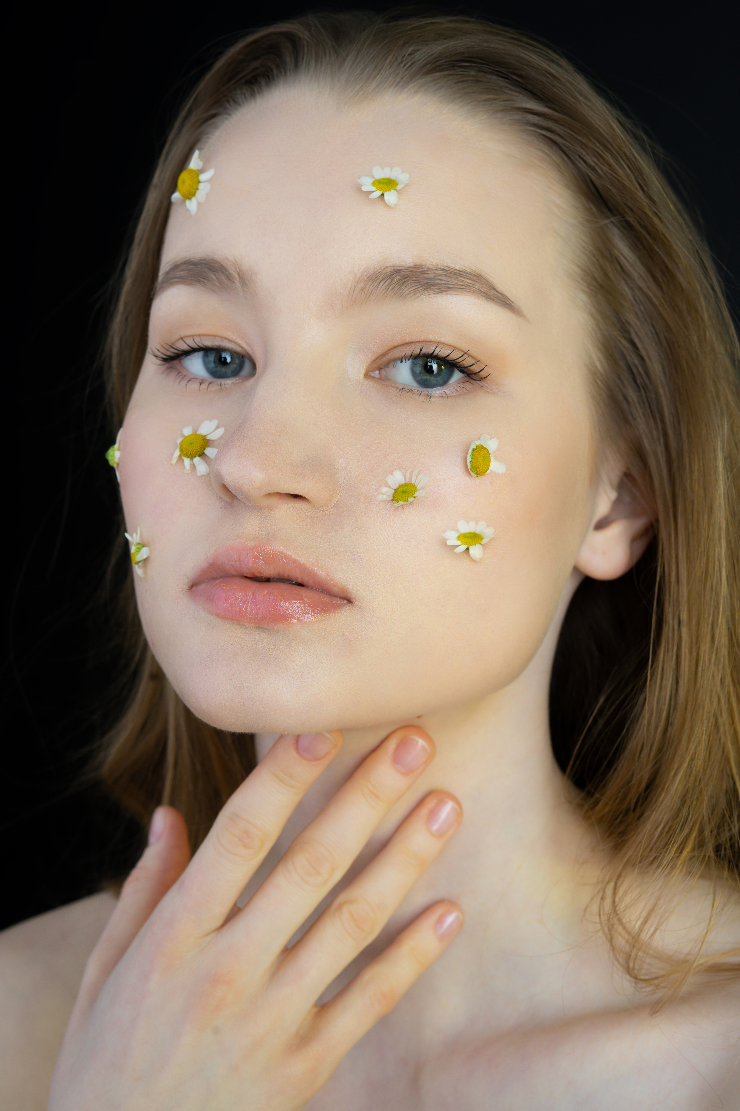 Ромашки. Фотограф Томск Новосибирск Елизавета Вахтеева