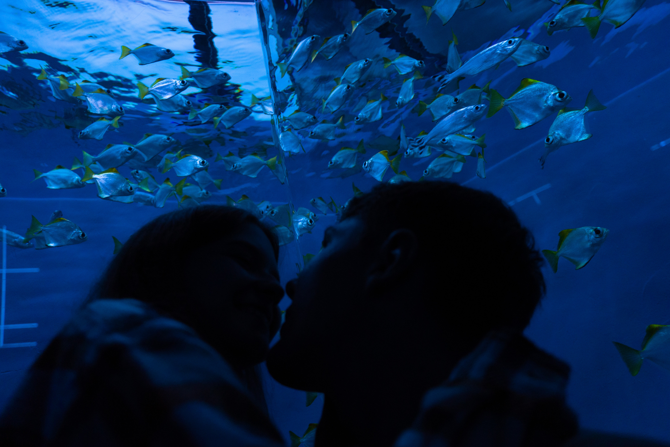 Рыбы. Фотограф Томск Новосибирск Елизавета Вахтеева