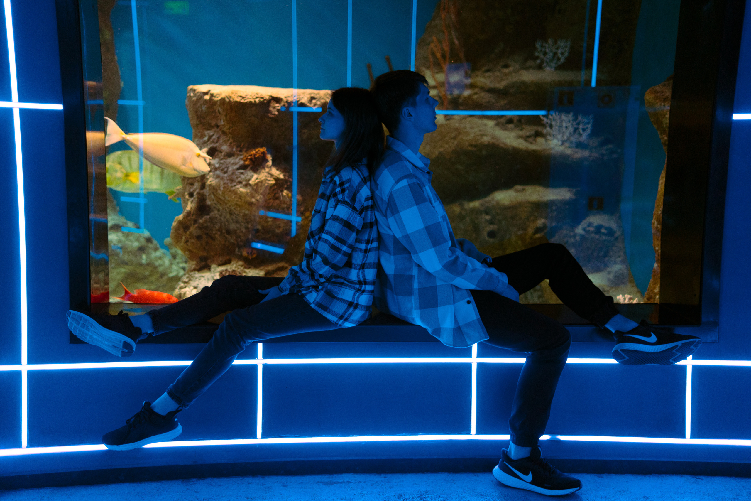 Рыбы. Фотограф Томск Новосибирск Елизавета Вахтеева