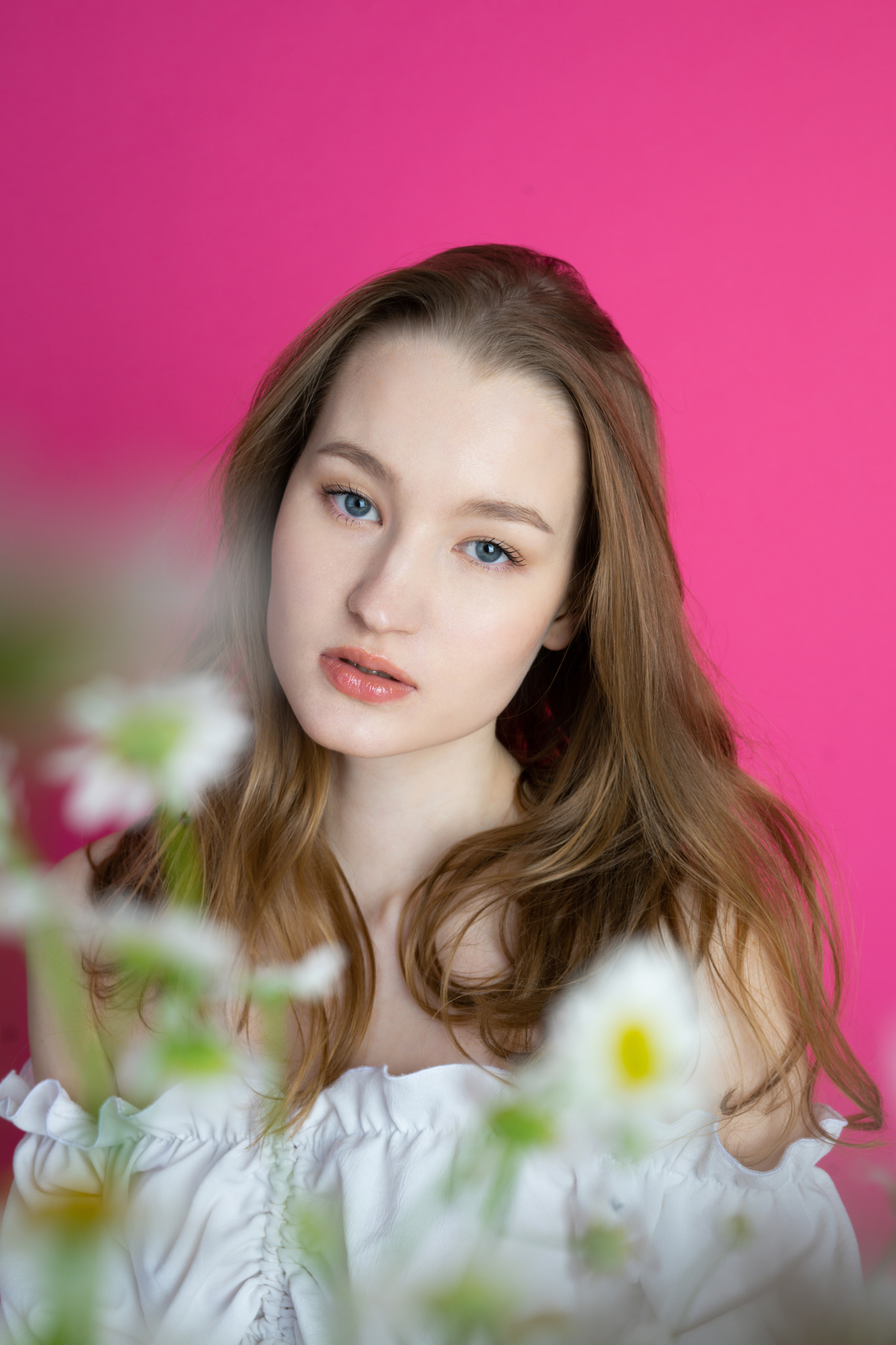 Ромашки. Фотограф Томск Новосибирск Елизавета Вахтеева