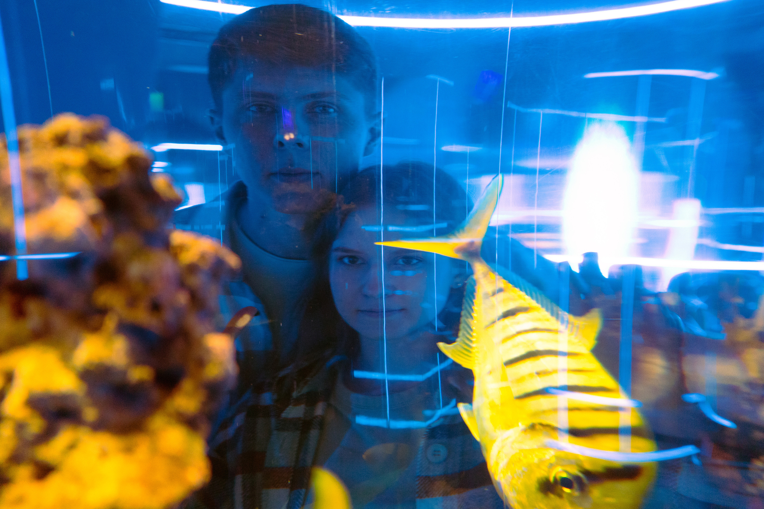 Рыбы. Фотограф Томск Новосибирск Елизавета Вахтеева