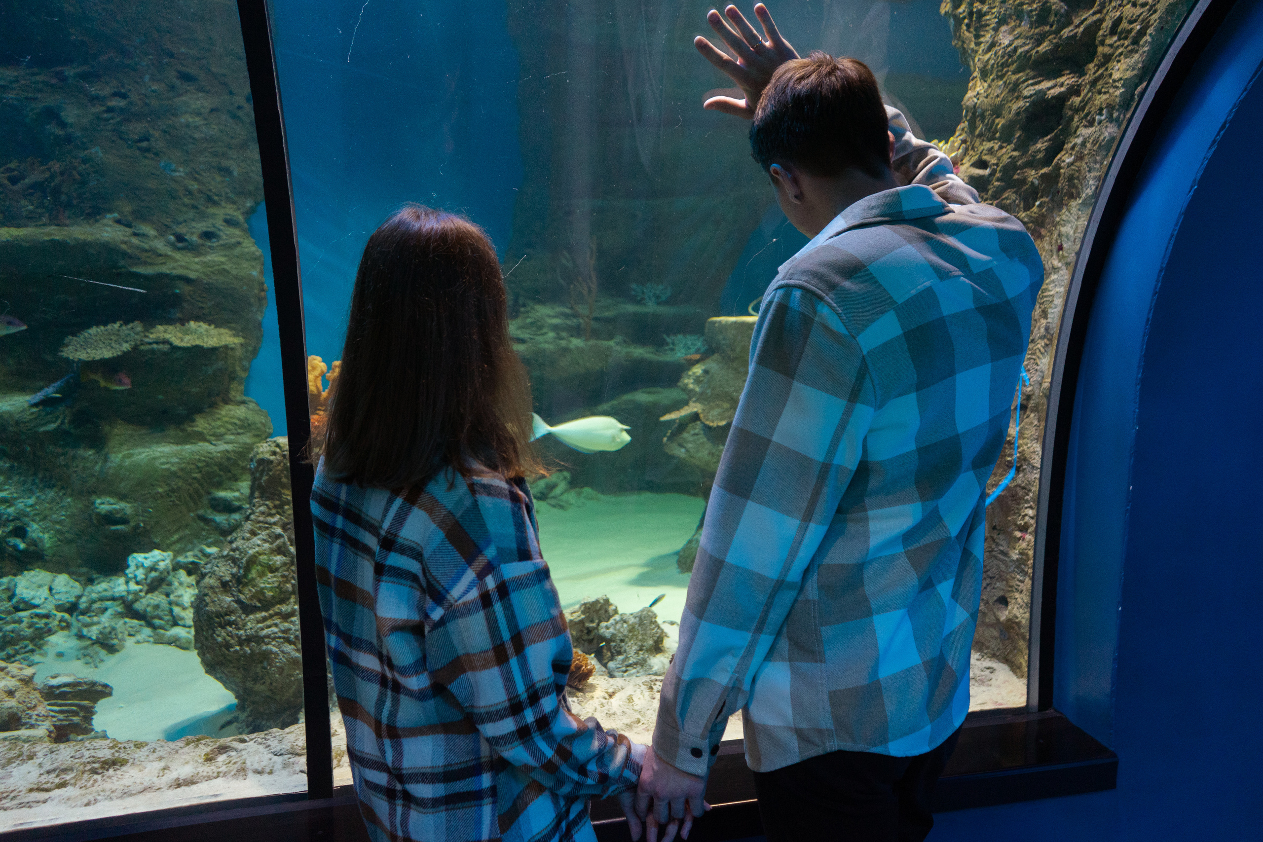 Рыбы. Фотограф Томск Новосибирск Елизавета Вахтеева