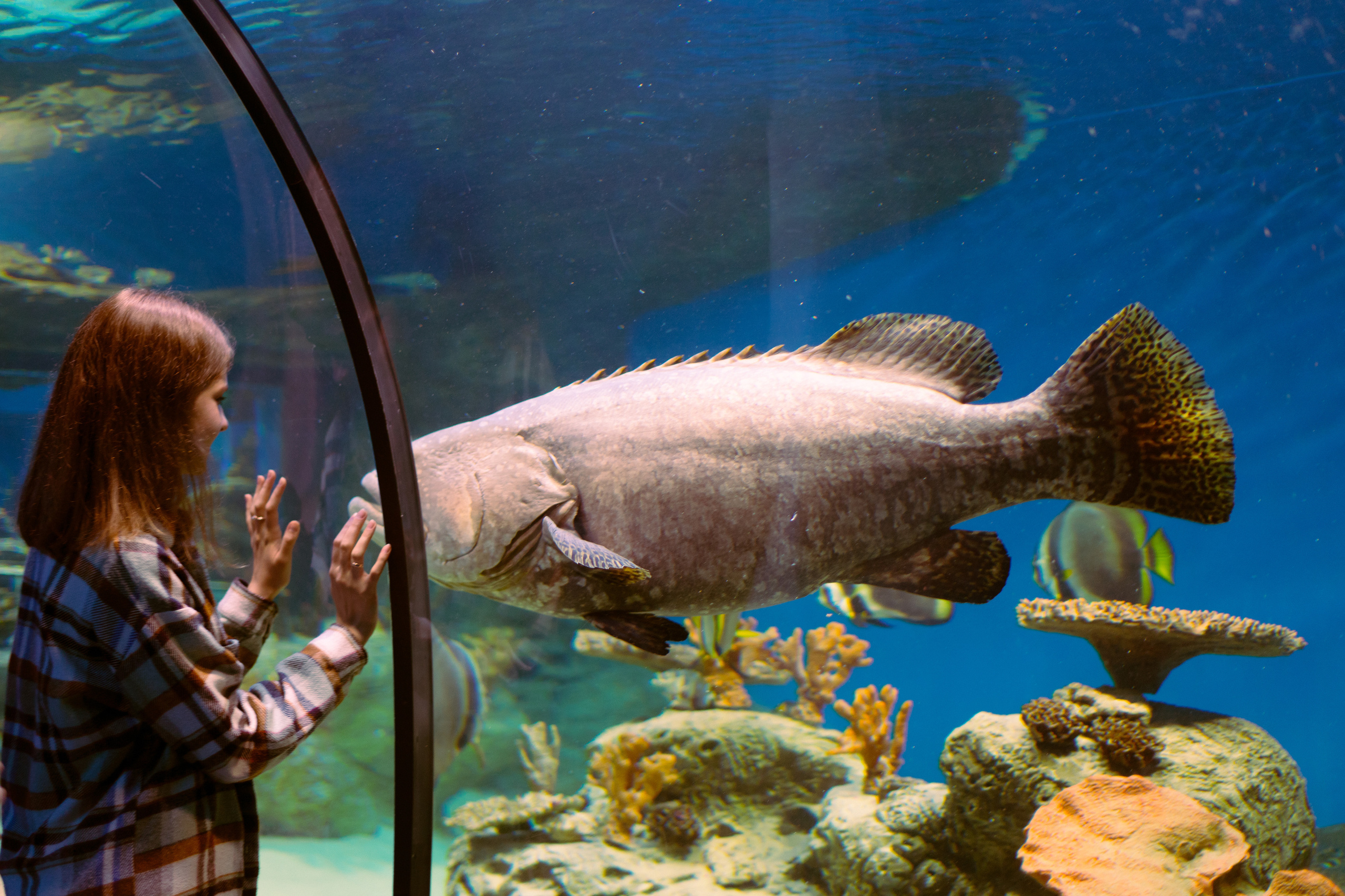 Рыбы. Фотограф Томск Новосибирск Елизавета Вахтеева