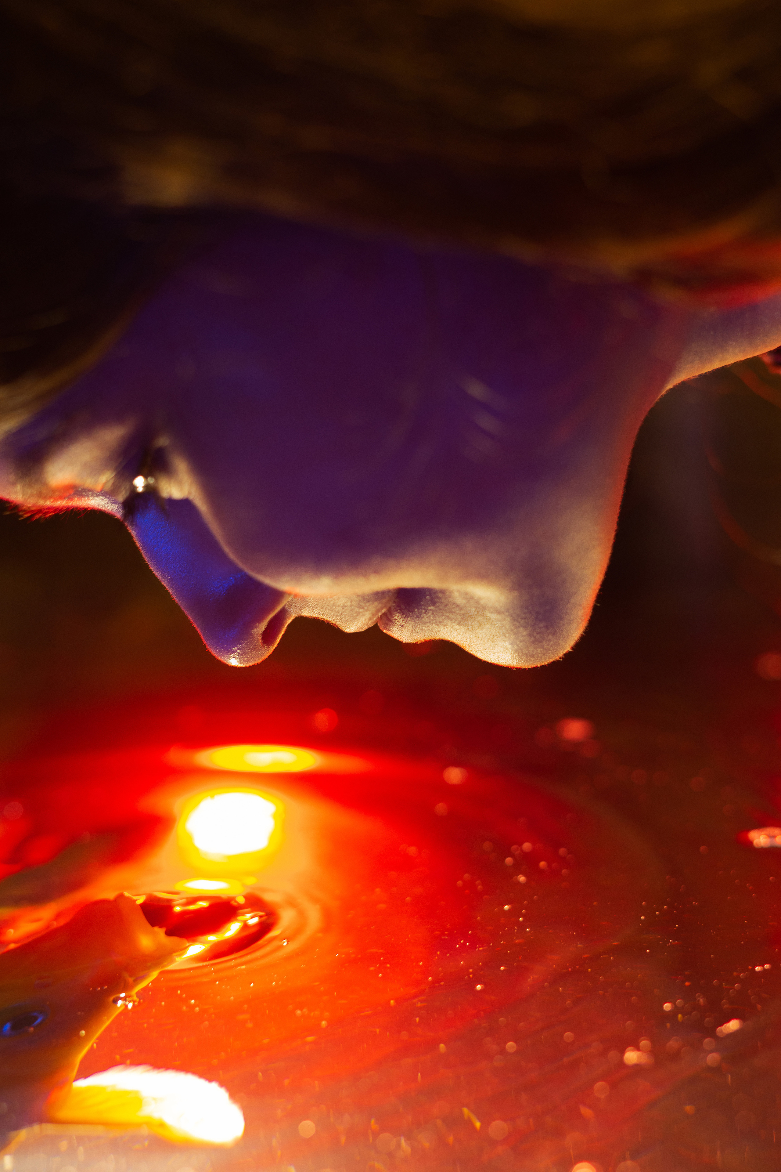 Рыбы. Фотограф Томск Новосибирск Елизавета Вахтеева